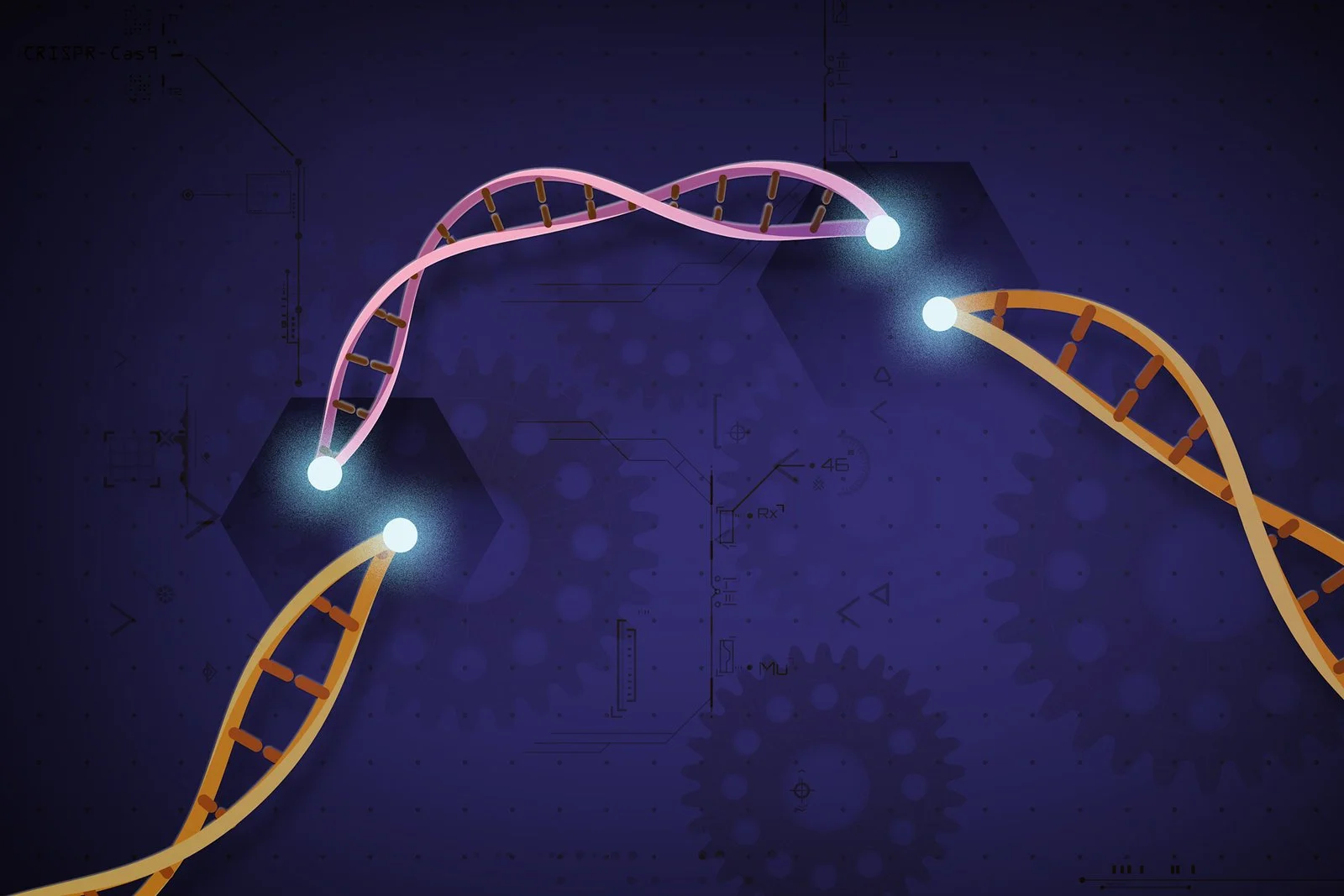 Ep 61: Decoding CRISPR: Jennifer Doudna and the future of gene editing (with Walter Isaacson)