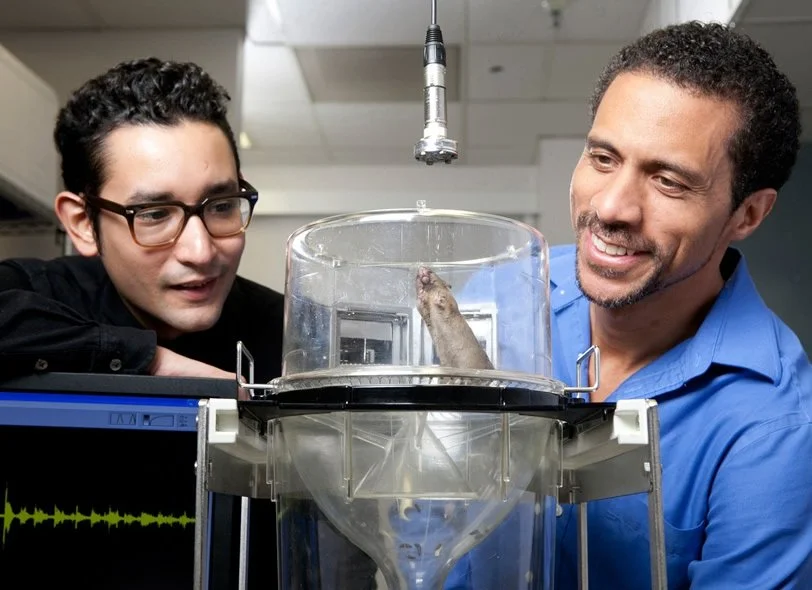 Ep 58: Finding our voice: The neurobiology of vocal learning (with Erich Jarvis)