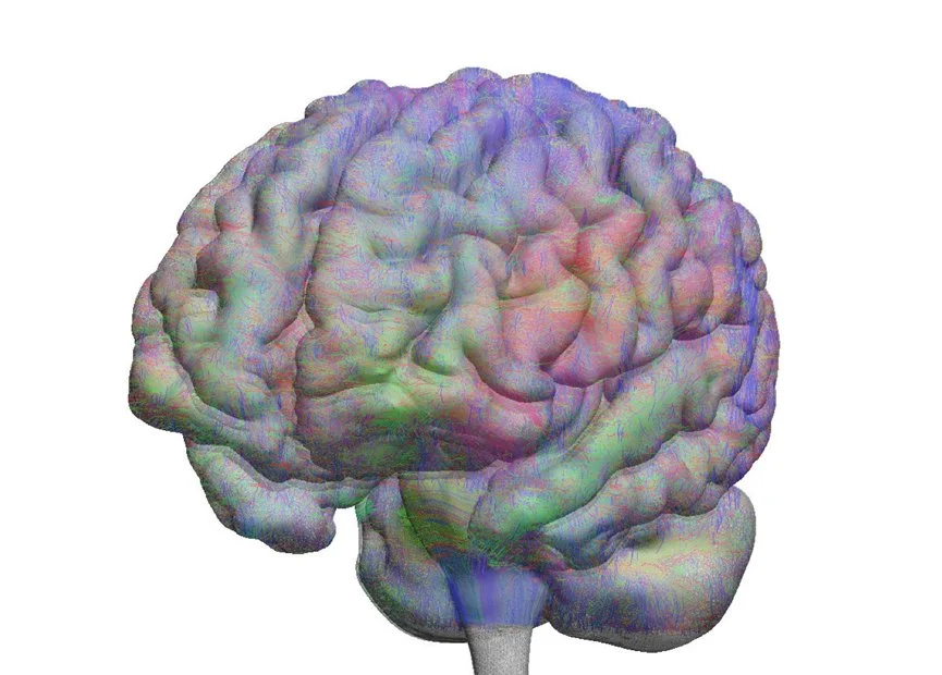 Ep 25: Dopamine Unto Others (Pat Churchland)