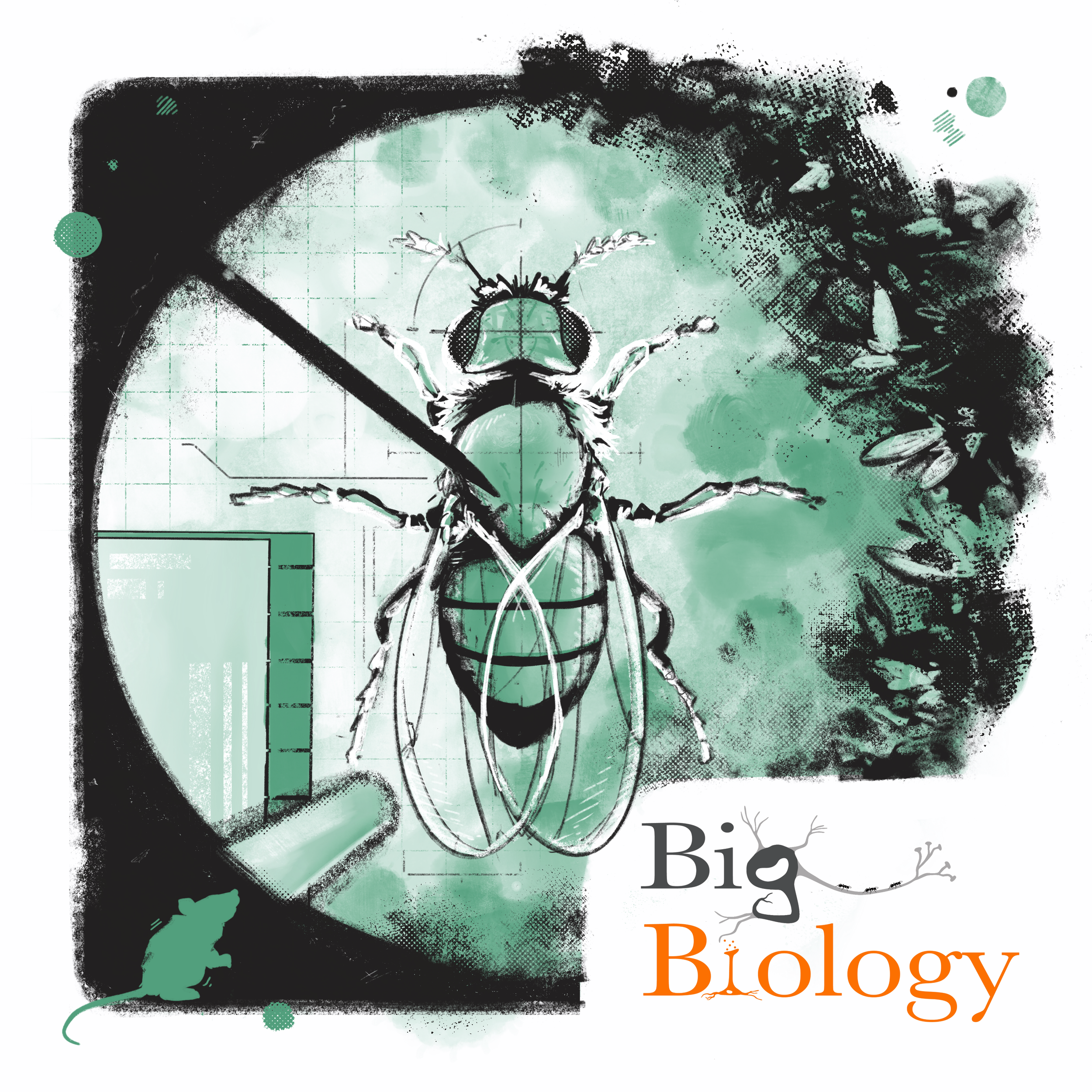 Ep 87: Life in the lab, are model organisms an asset or impediment to biology? (with Sabina Leonelli and Rachel Ankeny)