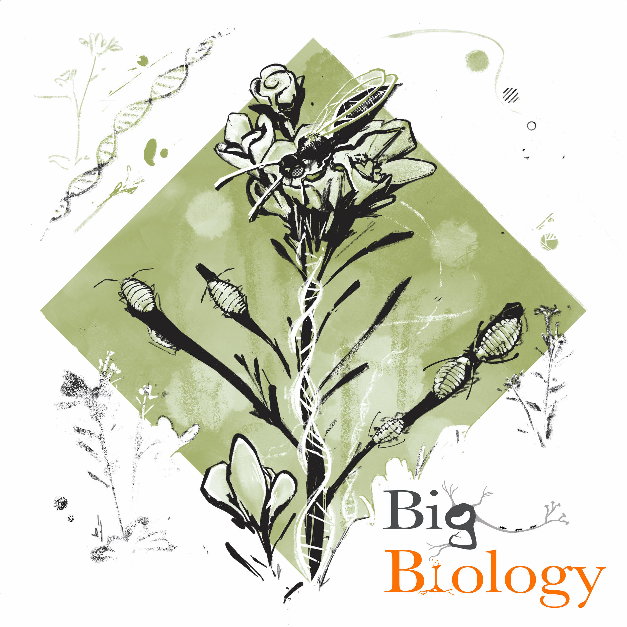 Ep 89: How one gene determines the fate of a food web (with Matt Barbour)