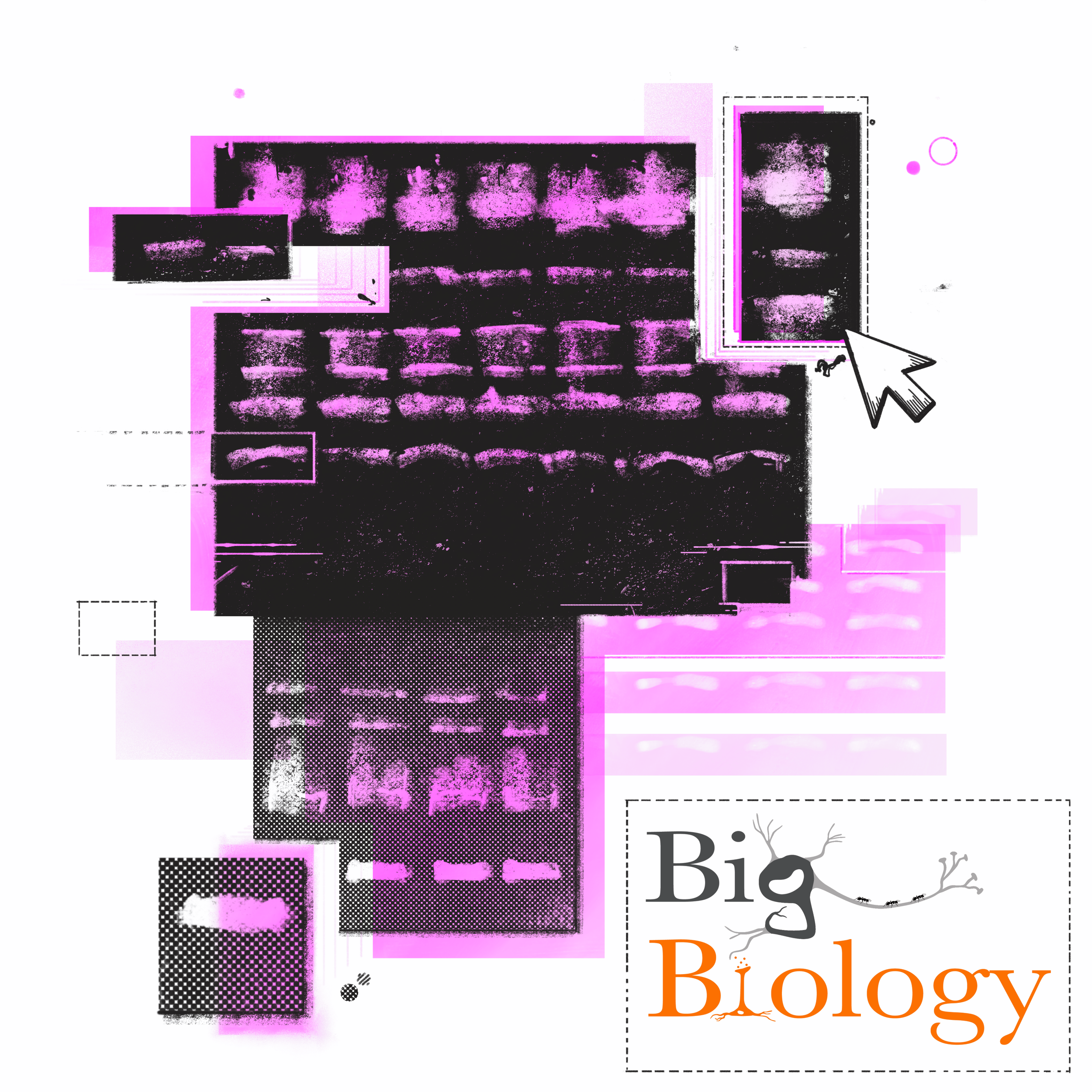 Ep 90: Fabricated images threaten the integrity of Alzheimer’s research (with Charles Piller)
