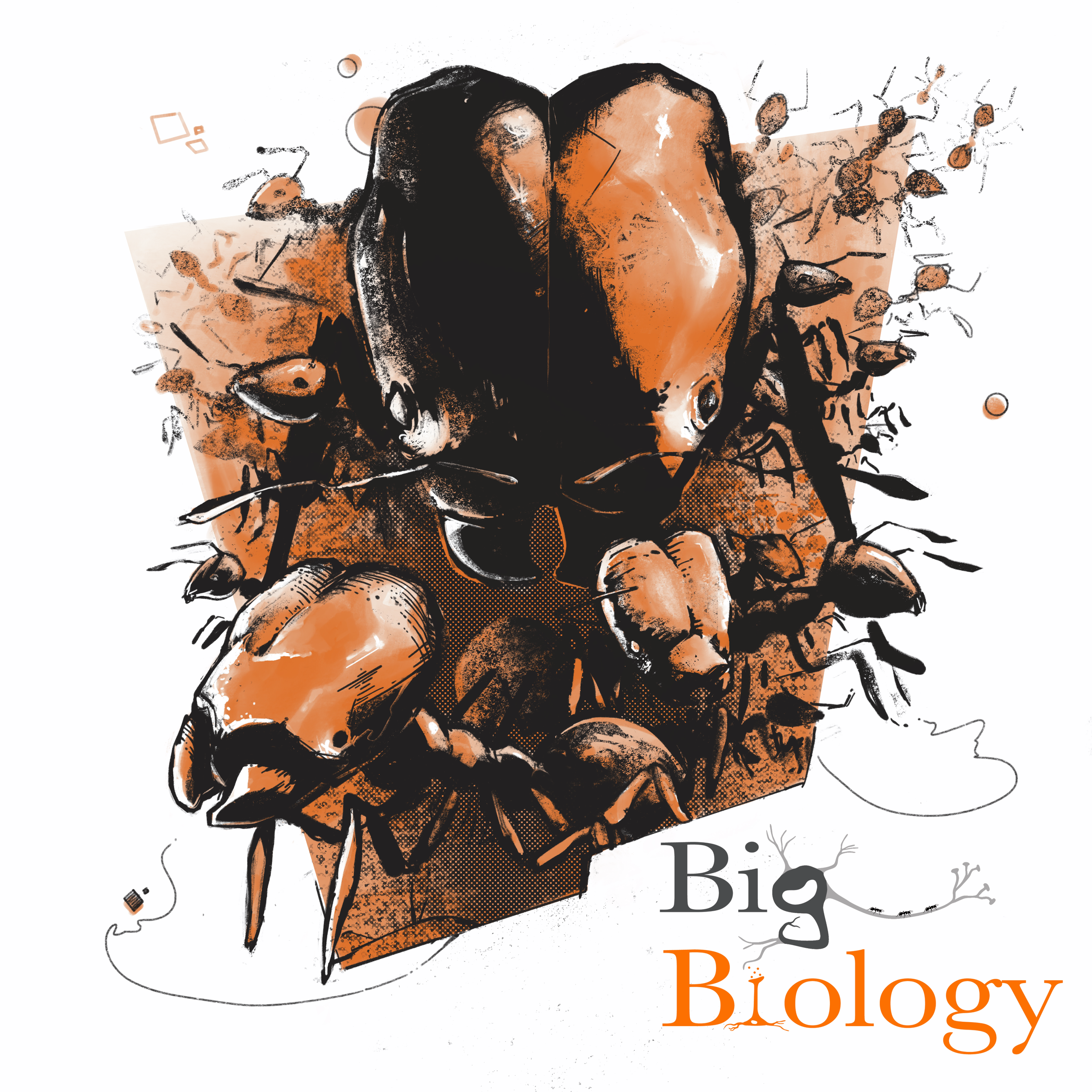 Ep 91: How stealth organs make super soldier ants (with Rajee Rajakumar)