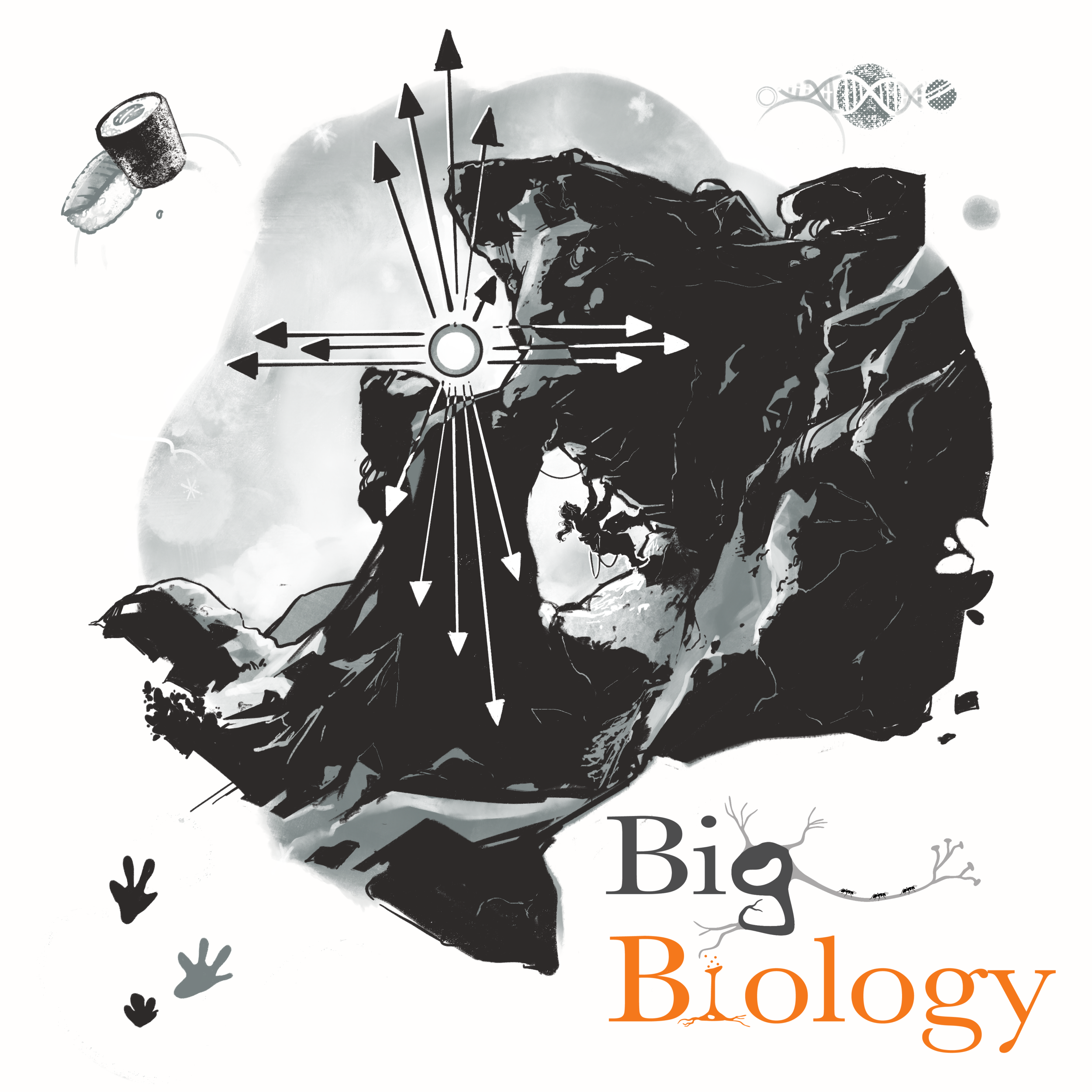 Ep 97: Mutation bias in evolution: climbing Mount Probable (with Arlin Stoltzfus)