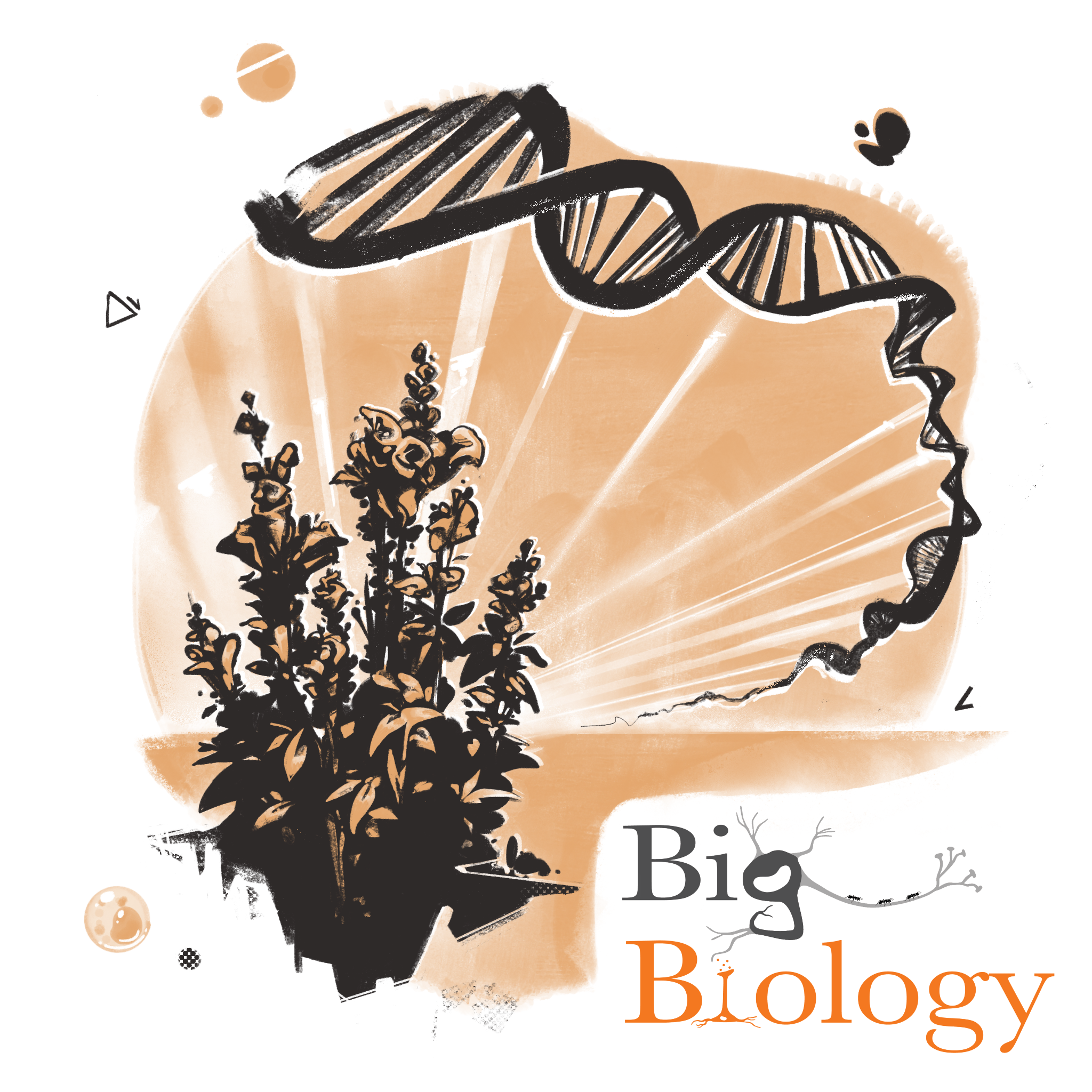 Ep 98:  There’s a thousand genes for that! (with Nick Barton)