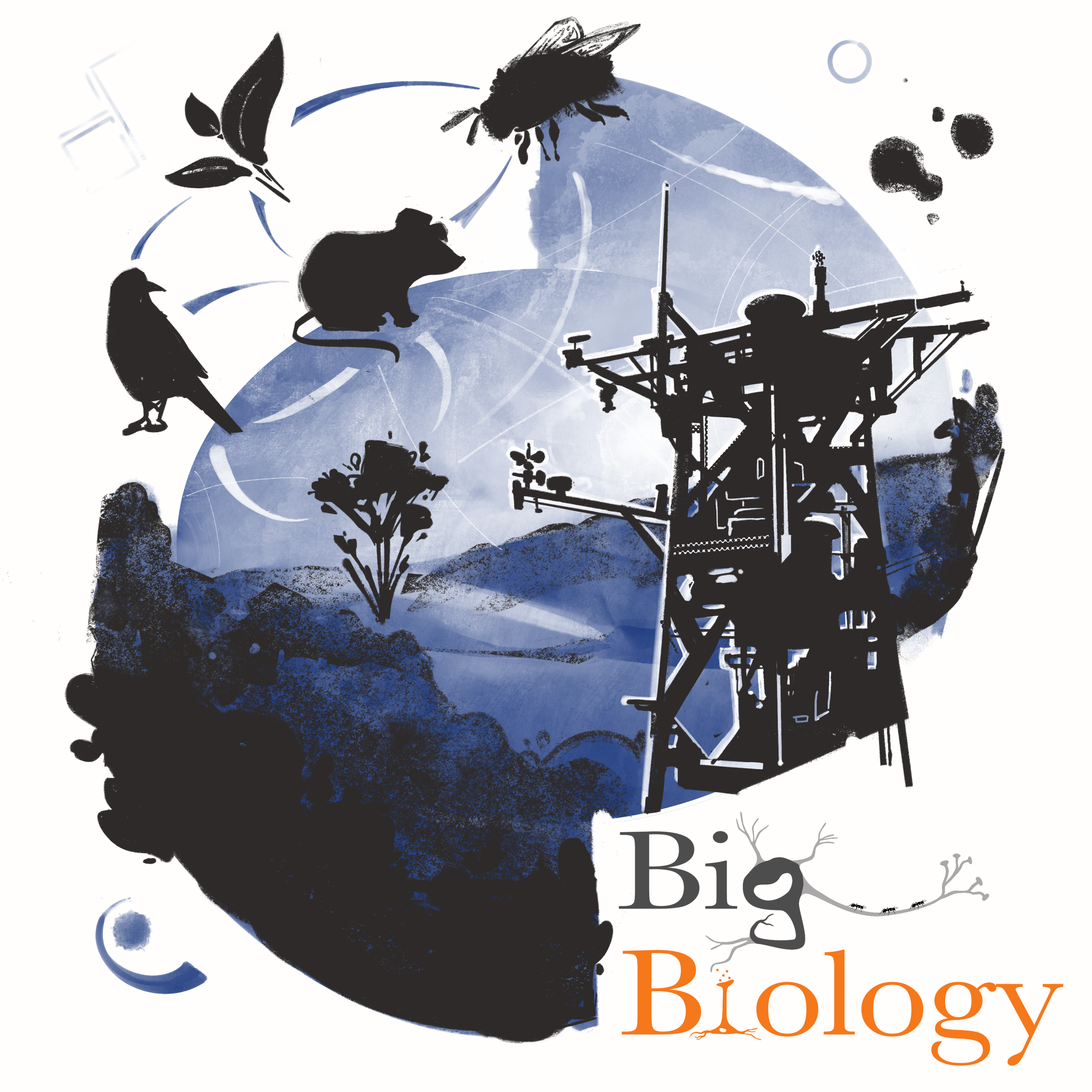 Ep 101: NEON: The promises and challenges of large-scale ecological research (with Scott Collins and Alan Knapp)