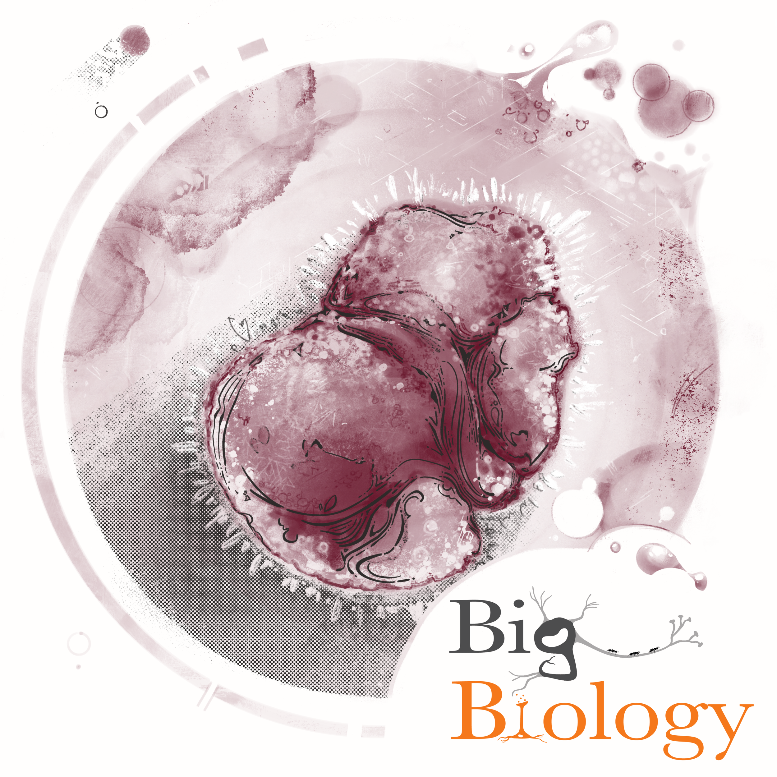 Ep 102: Inherency in evolution (with Stuart Newman)