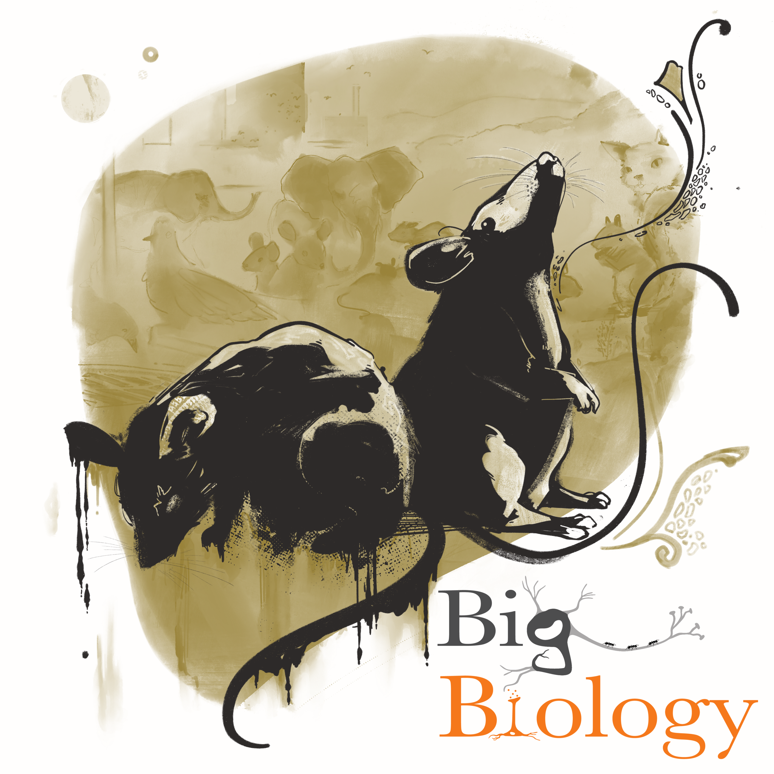 Ep 103: Pest-o, change-o: how culture shapes our view of animal commensals (with Bethany Brookshire)