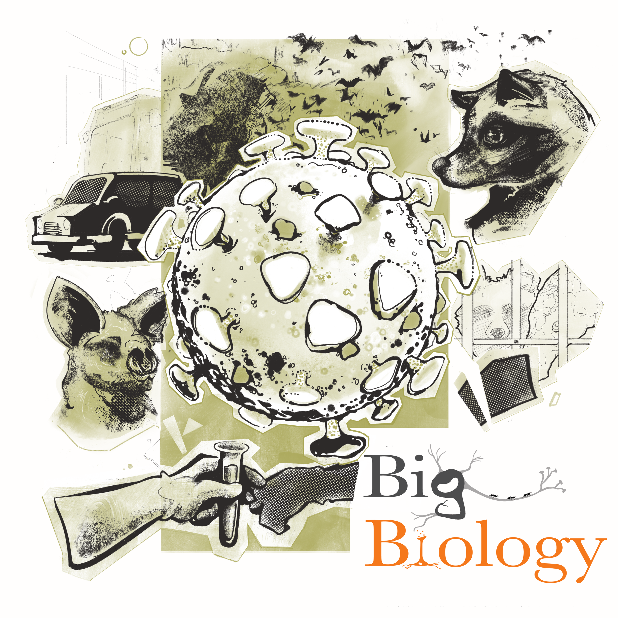Ep 105:  Follow the data: the search for COVID’s origin (with Alina Chan)