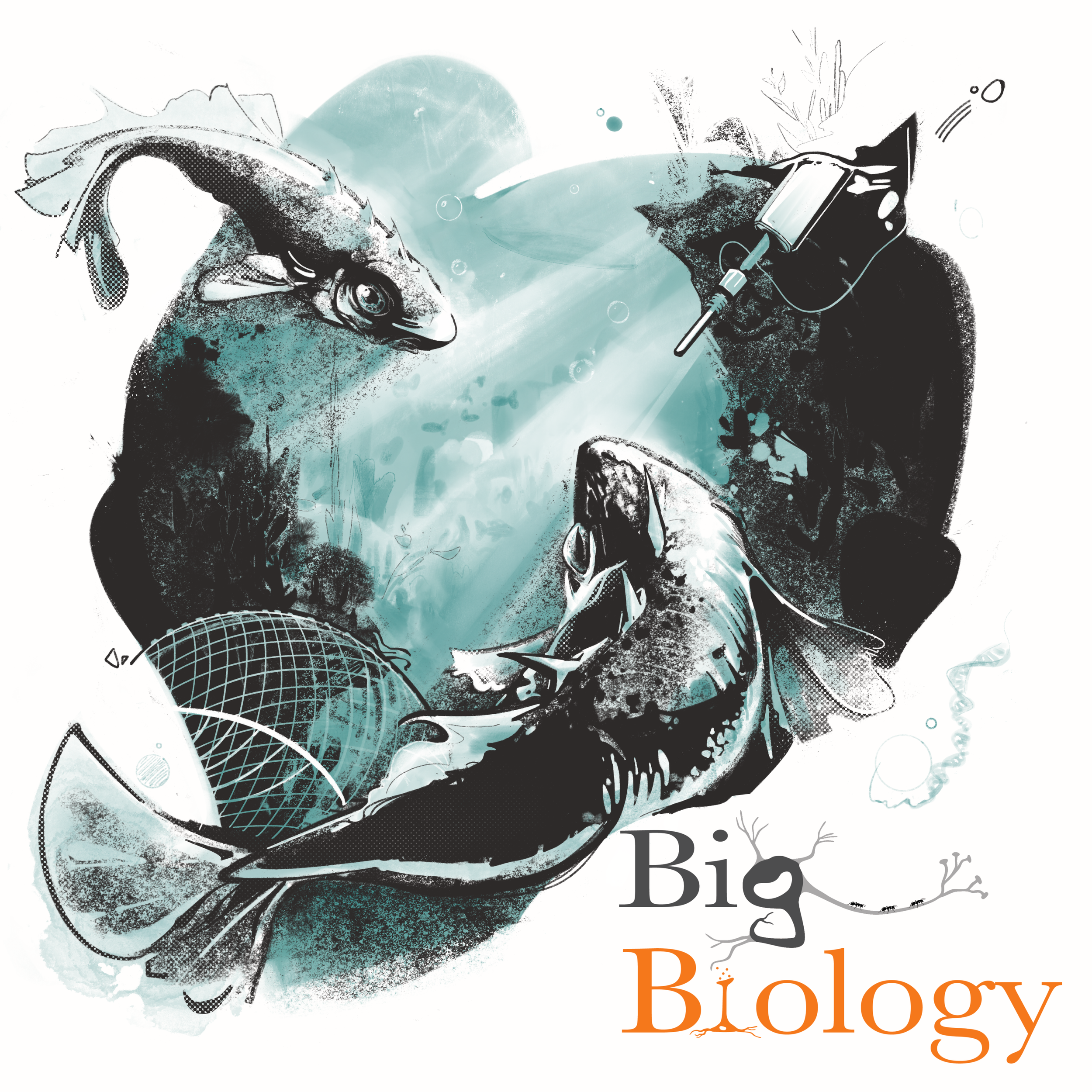 Ep 106:  Long-term experimental evolution in the wild (with Katie Peichel and Andrew Hendry)