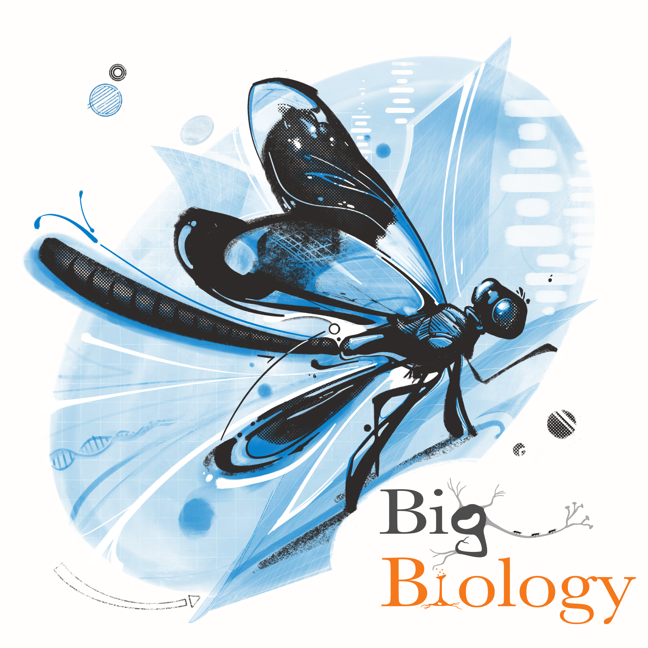 Ep 108: The dialectical biologists: challenges of studying evolution in nature (with Erik Svensson)