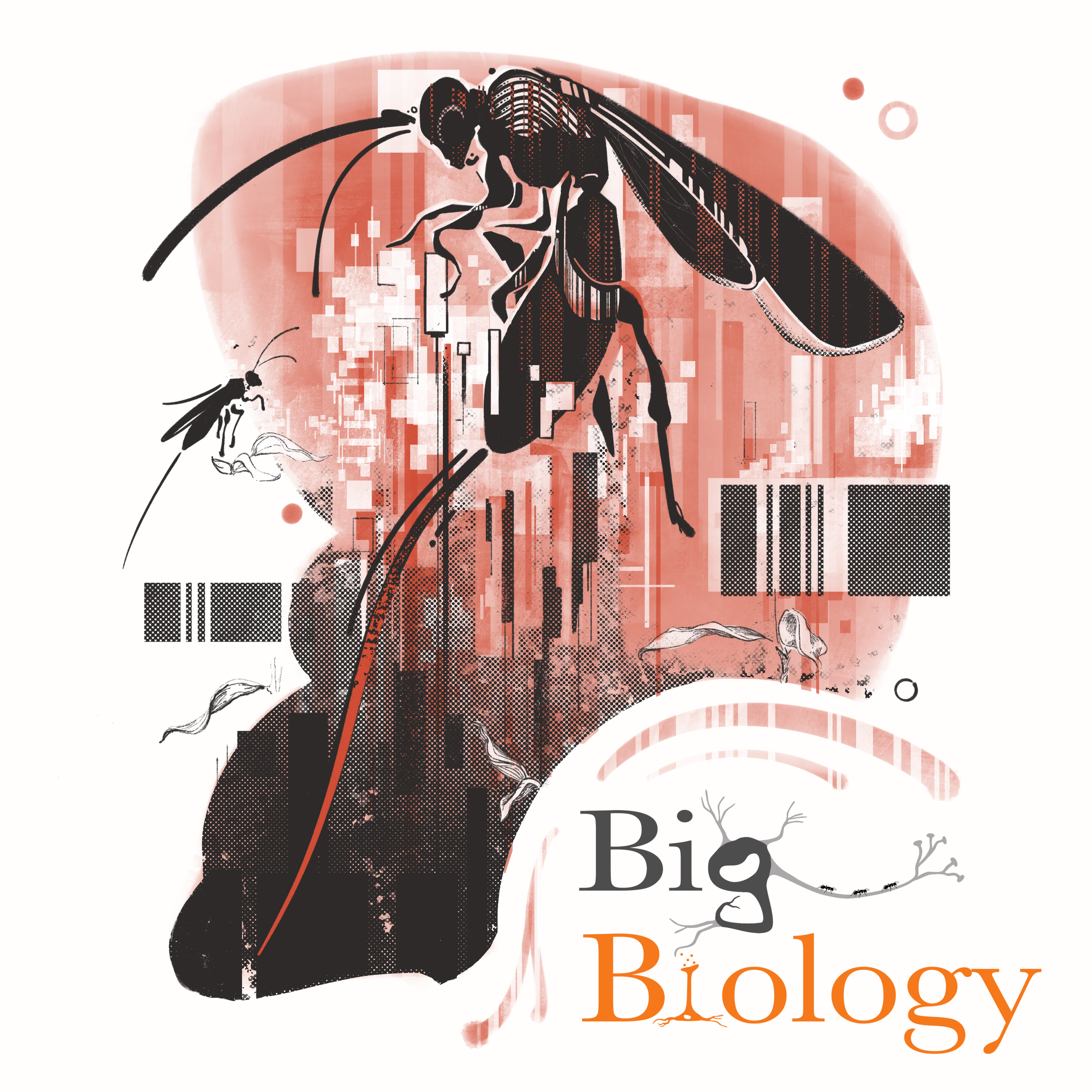 Ep 110: Tempest in a barcode: how rapidly can we (and should we) identify new species? (with Michael Sharkey)