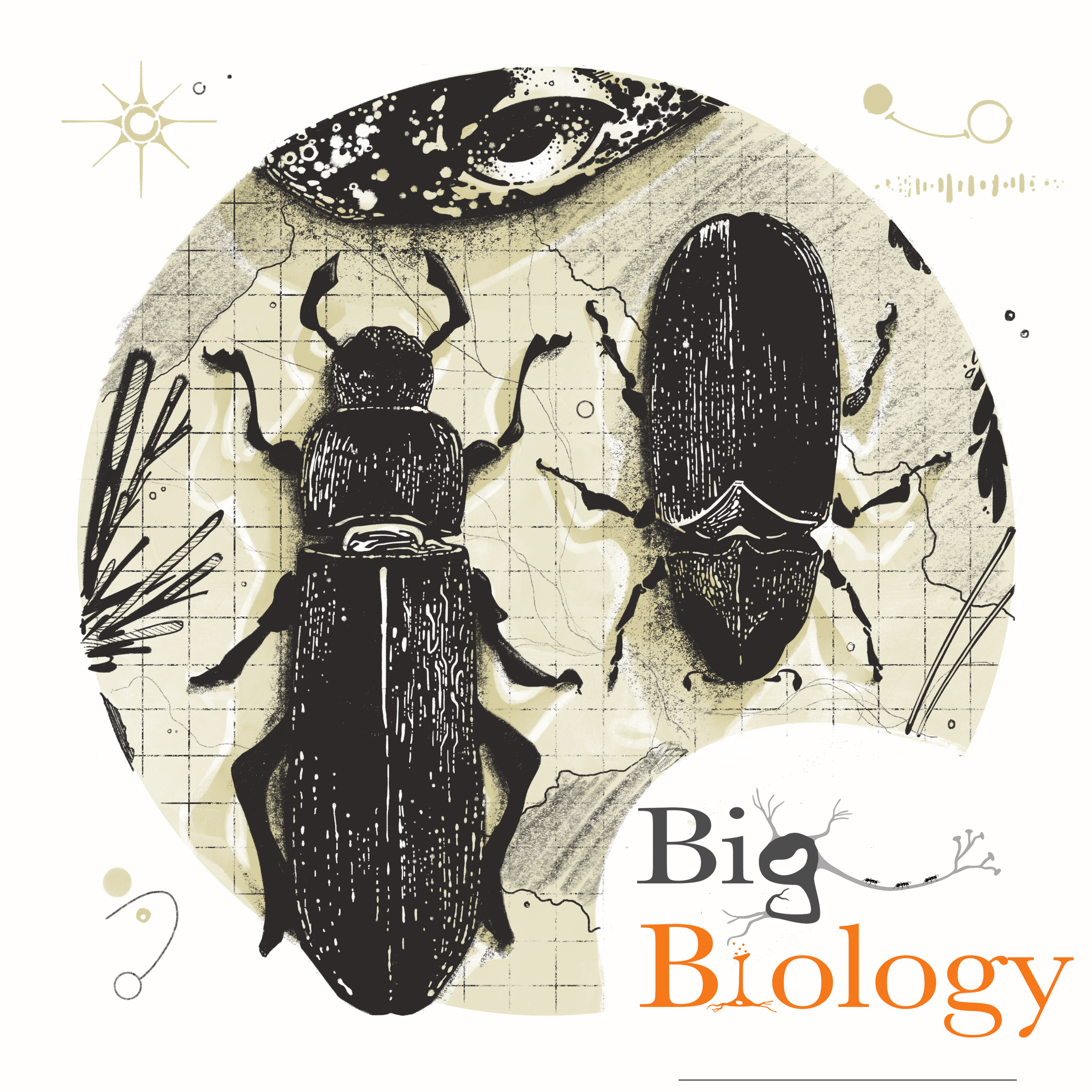 Ep 111: Evolution of the Invaders (with Ruth Hufbauer)
