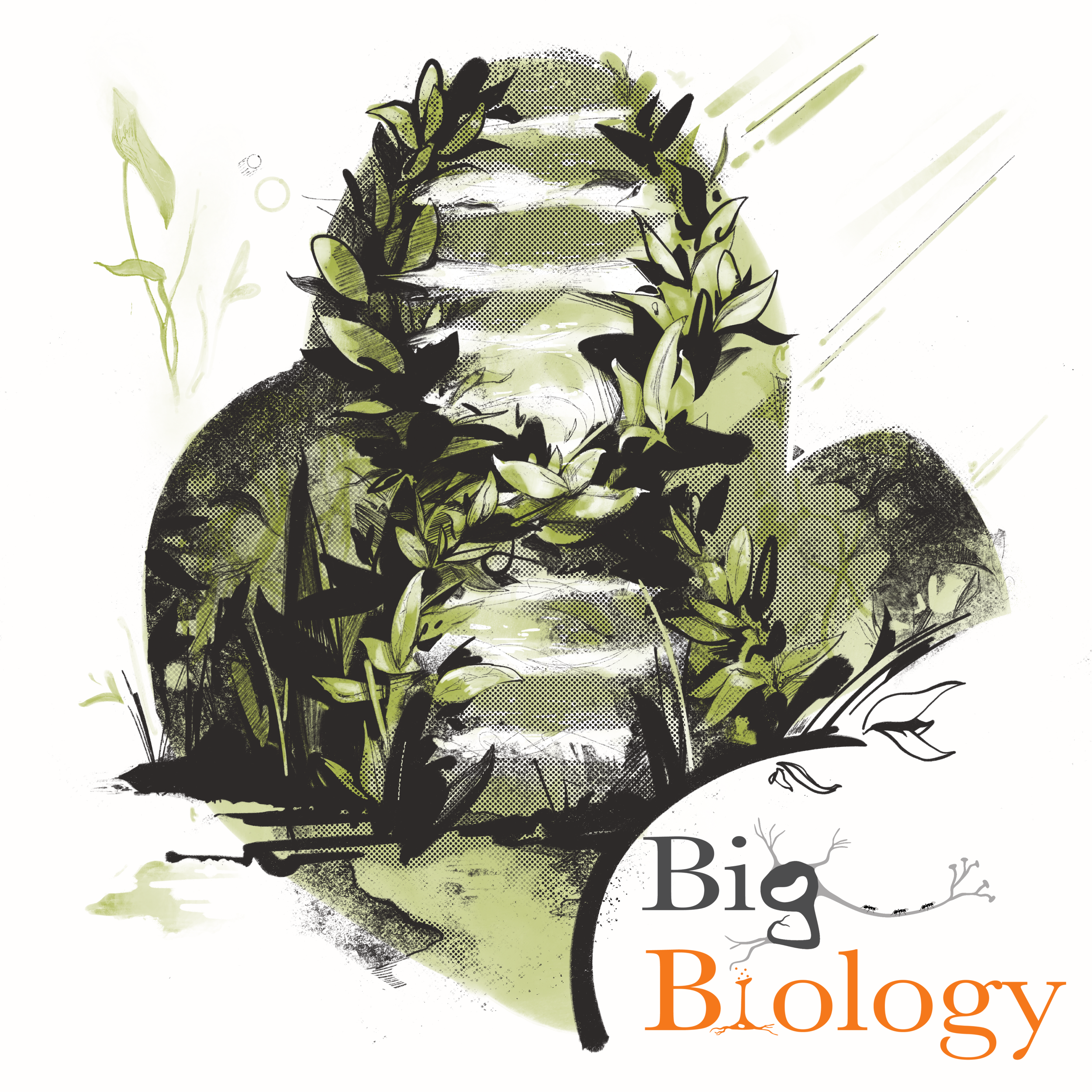 Ep 112: The Entangled Organism (with Sonia Sultan)