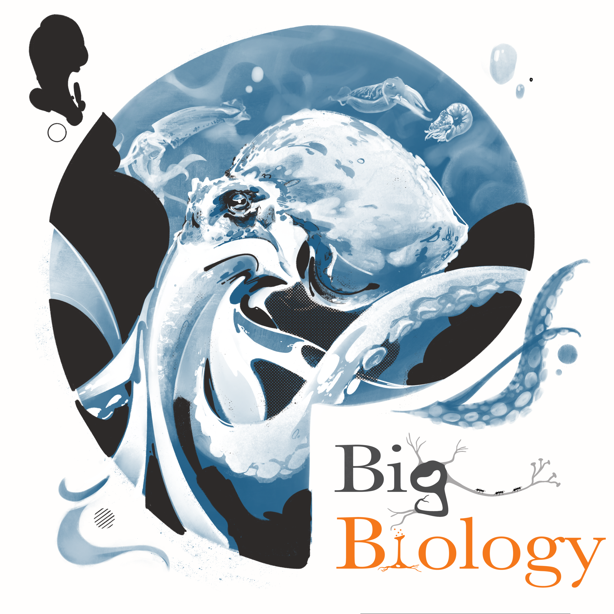 Ep 113: Cephalopods: aliens among us (with Danna Staaf)