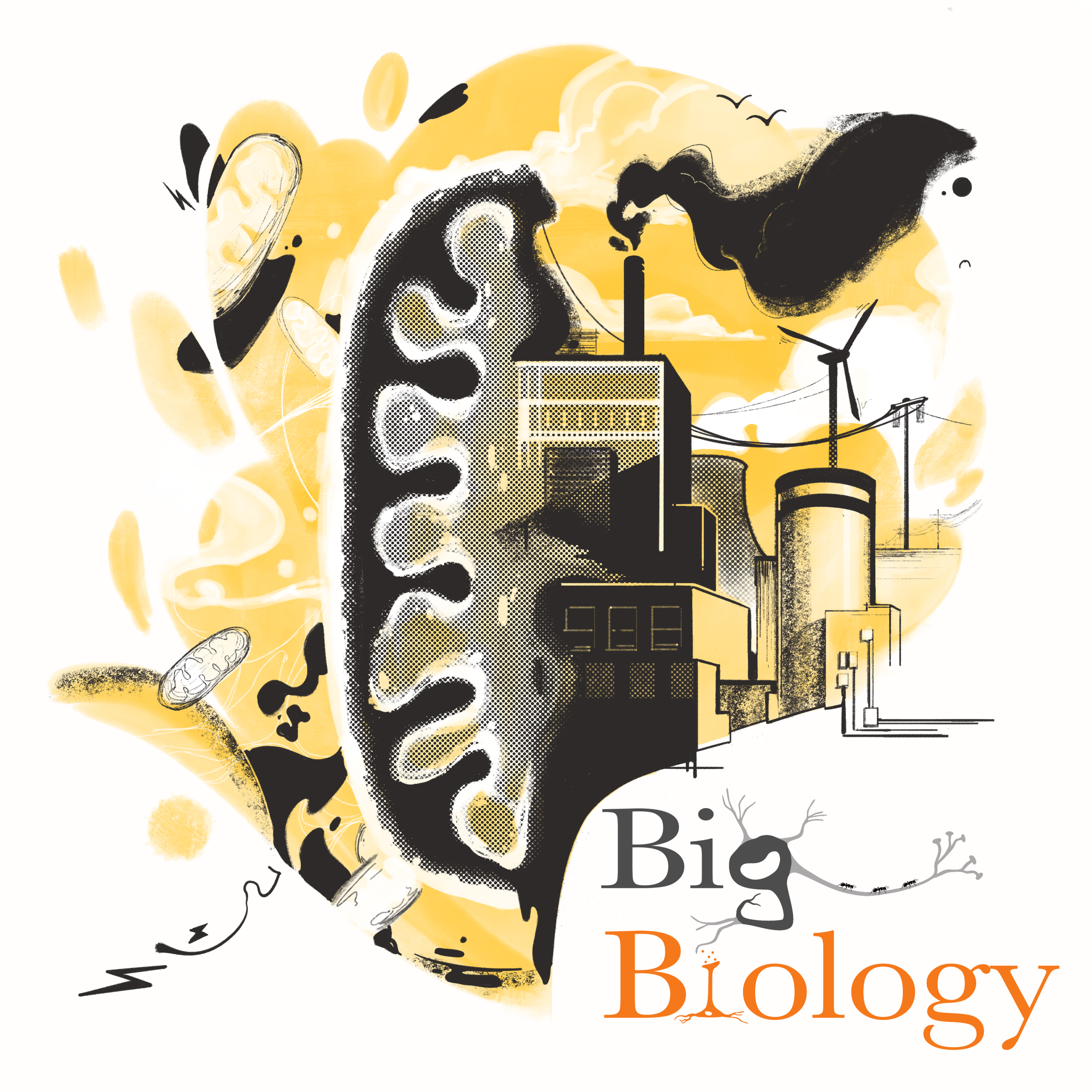 Ep 114: How power explains the history of life. (with Geerat Vermeij)