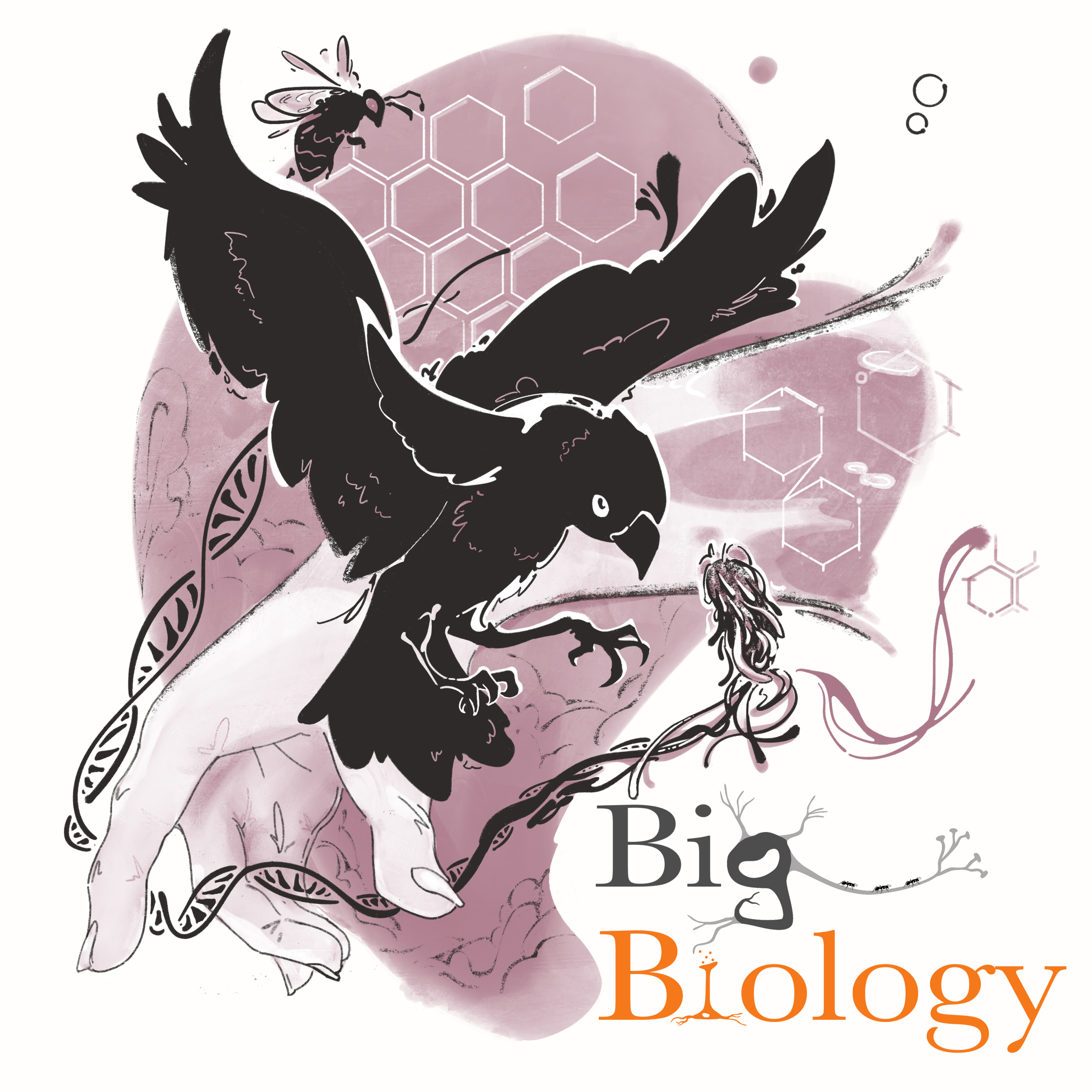 Ep 115: Does a porpoise have a purpose? Agency and goals in evolution (with Samir Okasha)