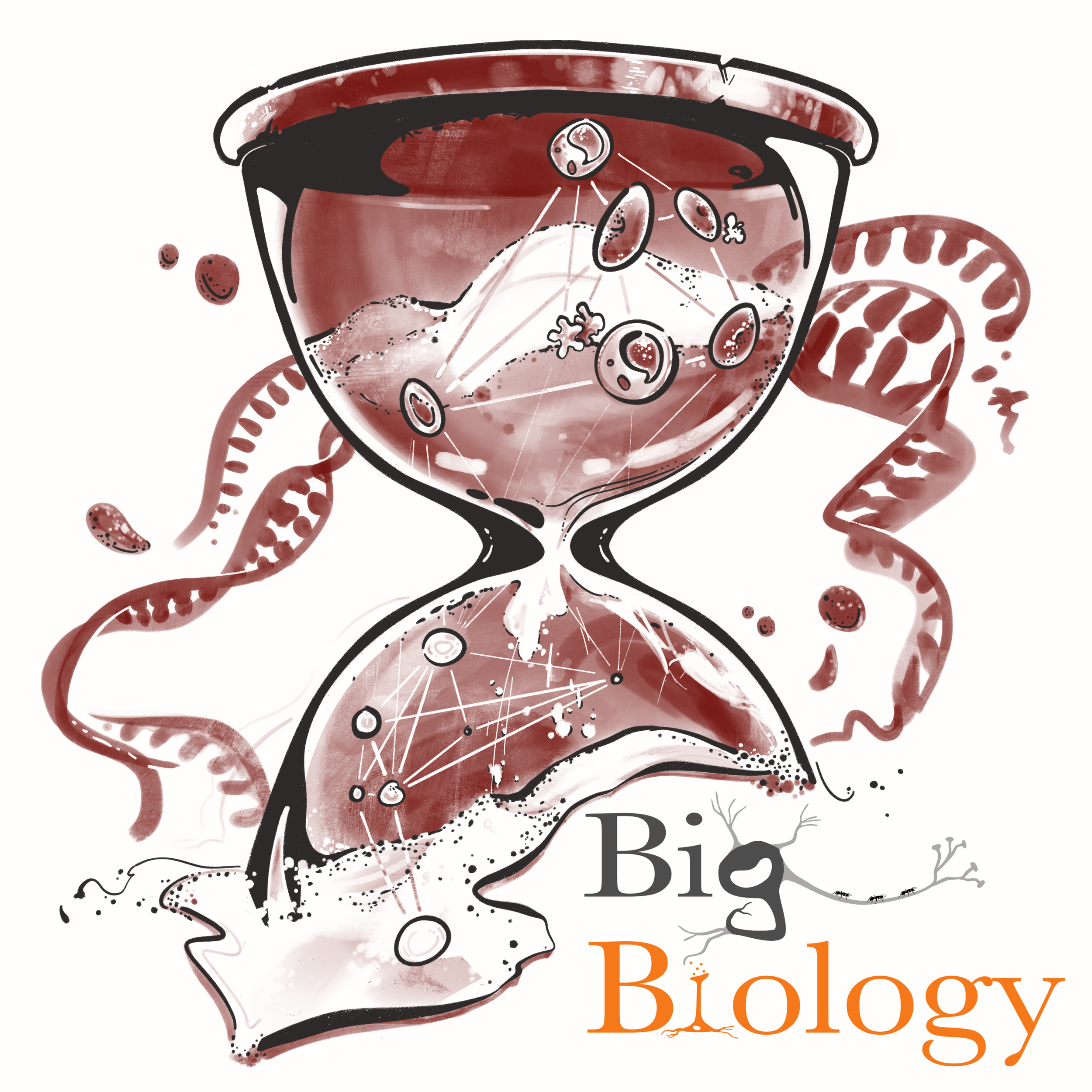 Ep 117: The time of your life (with Rosemary Braun)
