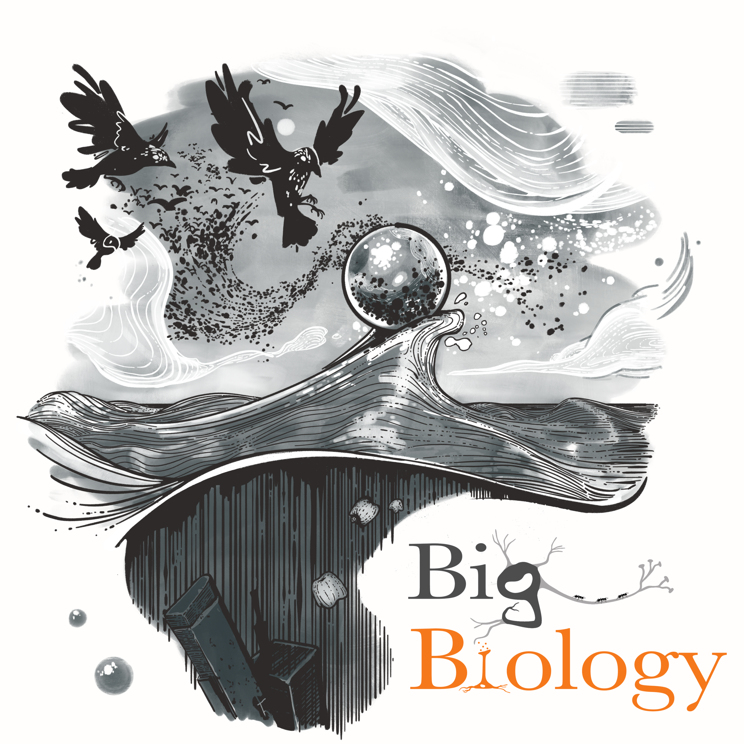 Ep 119: Biology as its own metaphor (with Phil Ball)