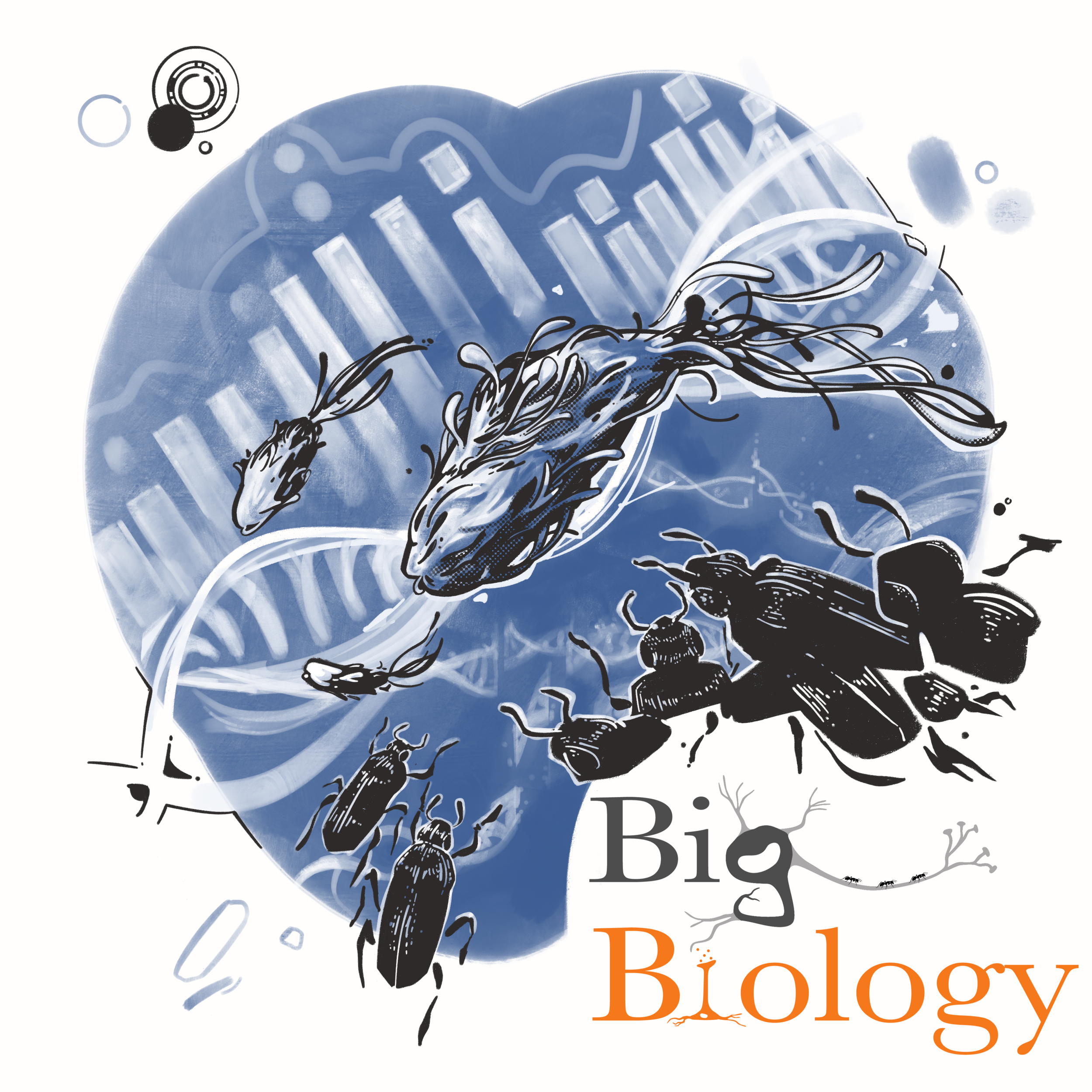 Ep 120: Shifting mutational landscapes (with Deepa Agashe)