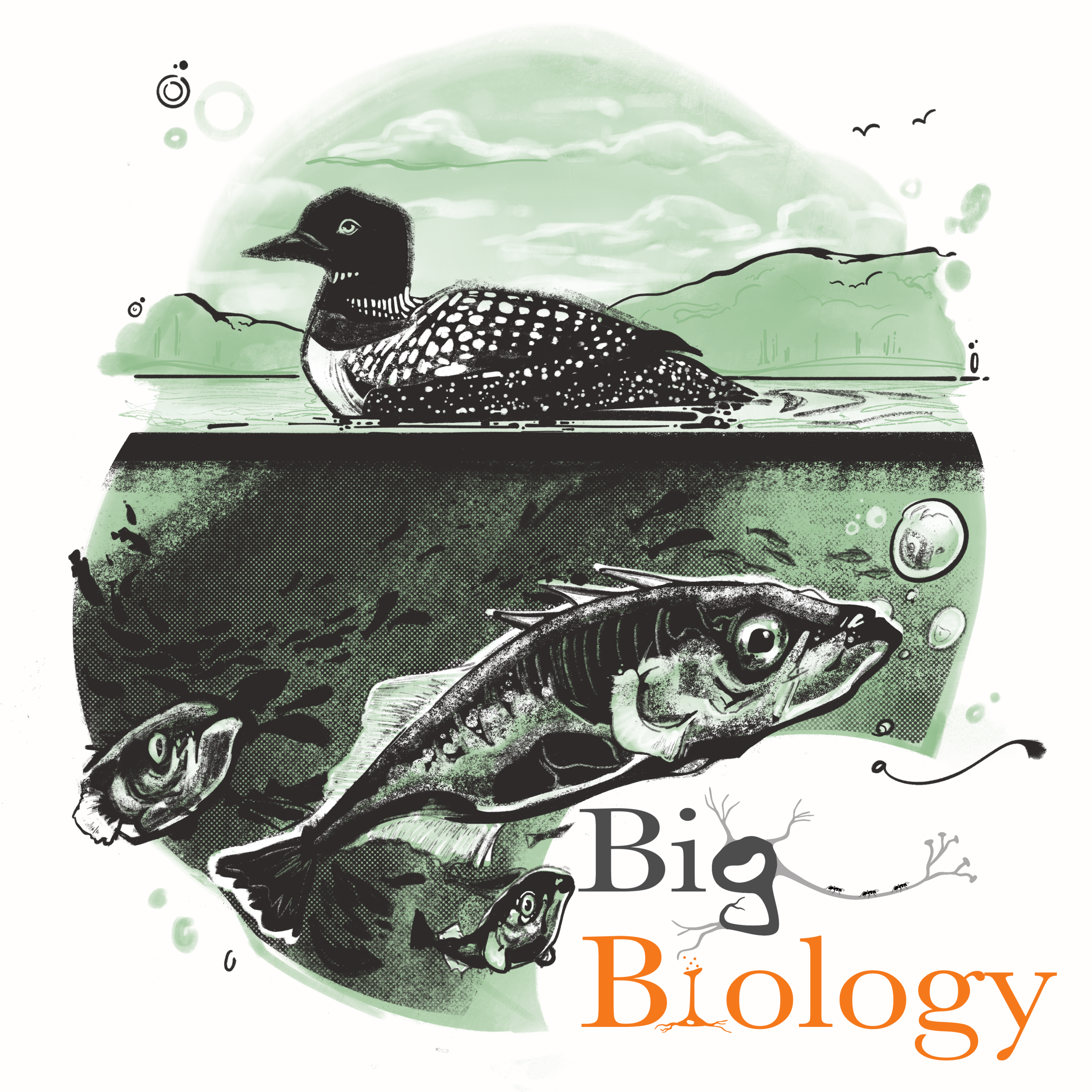 Ep 121: Stickle-back to the future: experimental evolution in nature (with Alison Derry and Andrew Hendry)