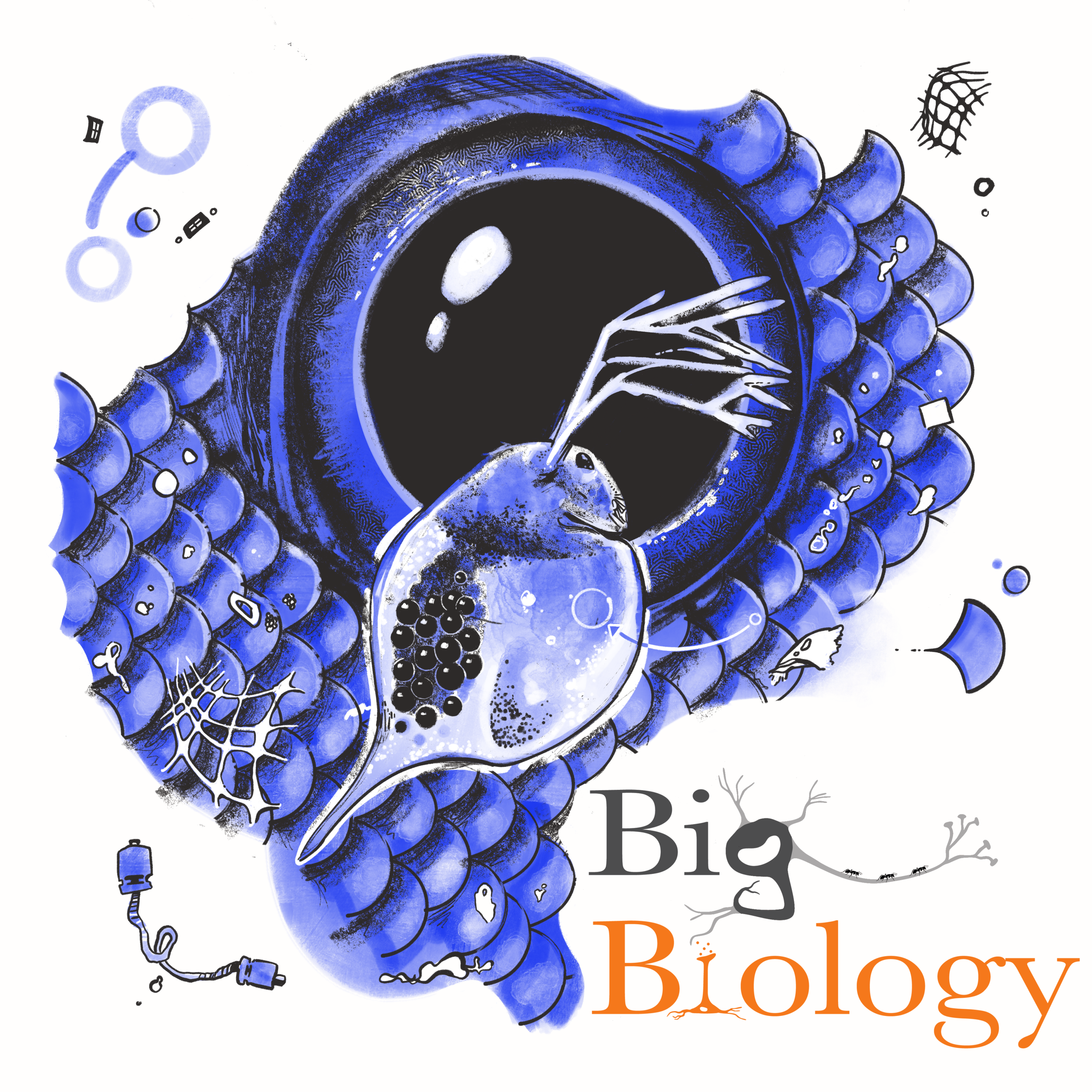 Ep 133: Microplastics, macroproblems (with Martin Wagner)