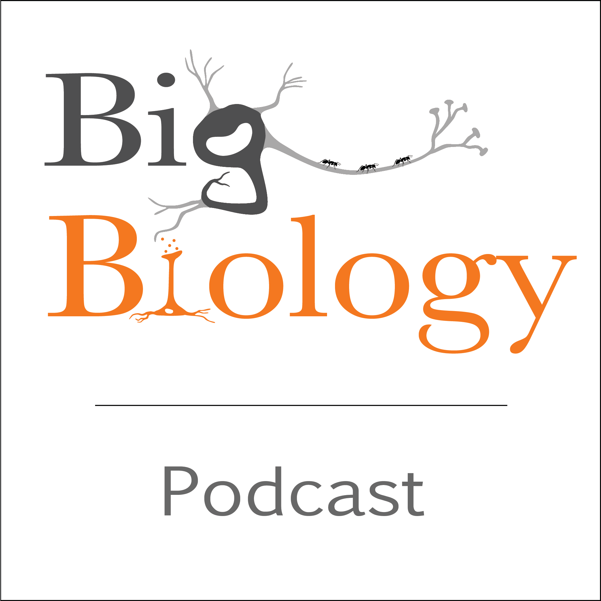 Ep 134: #SaveNSF (with Bill Zamer and Sam Scheiner)