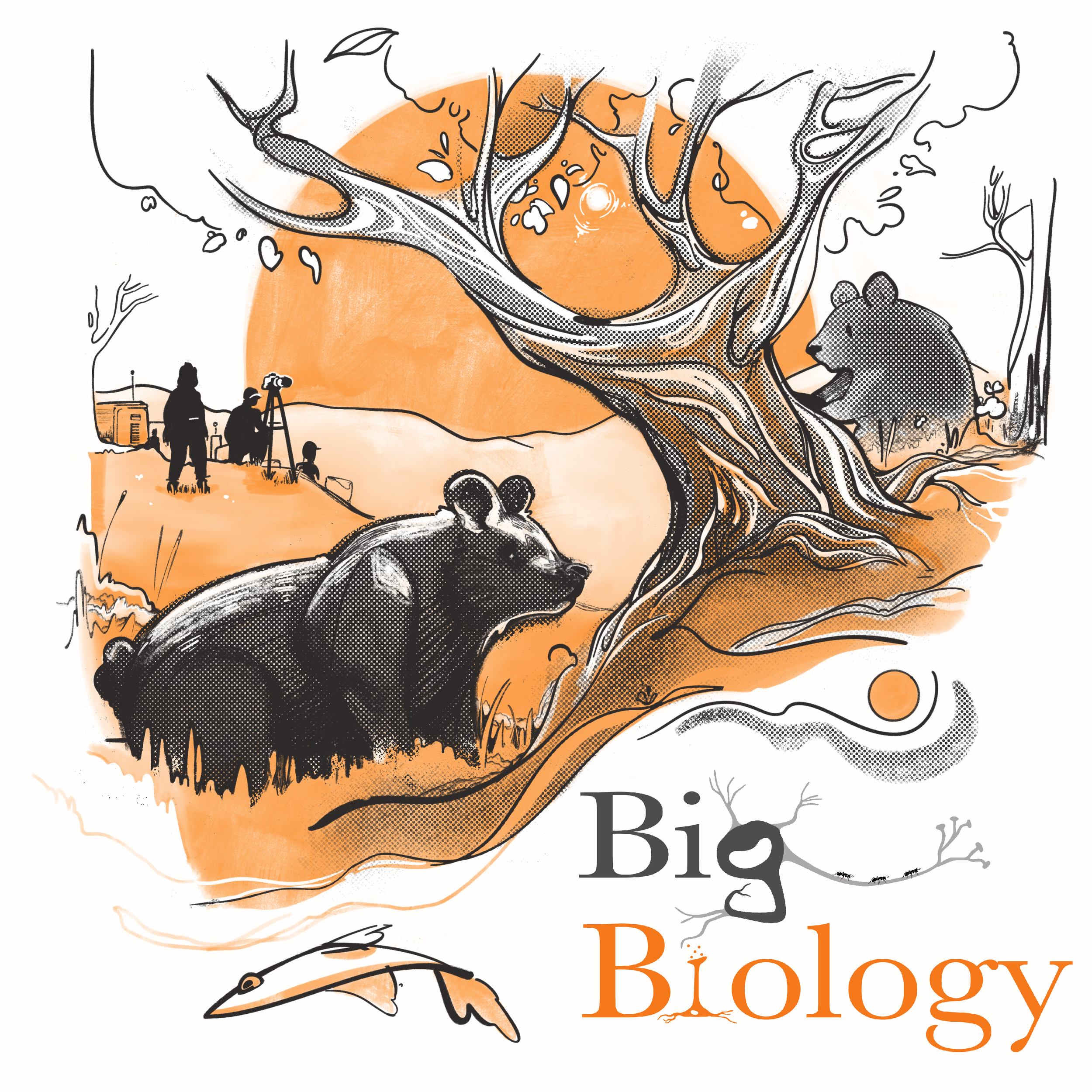 Ep 136: The call of the wild (with Rae Wynn-Grant)