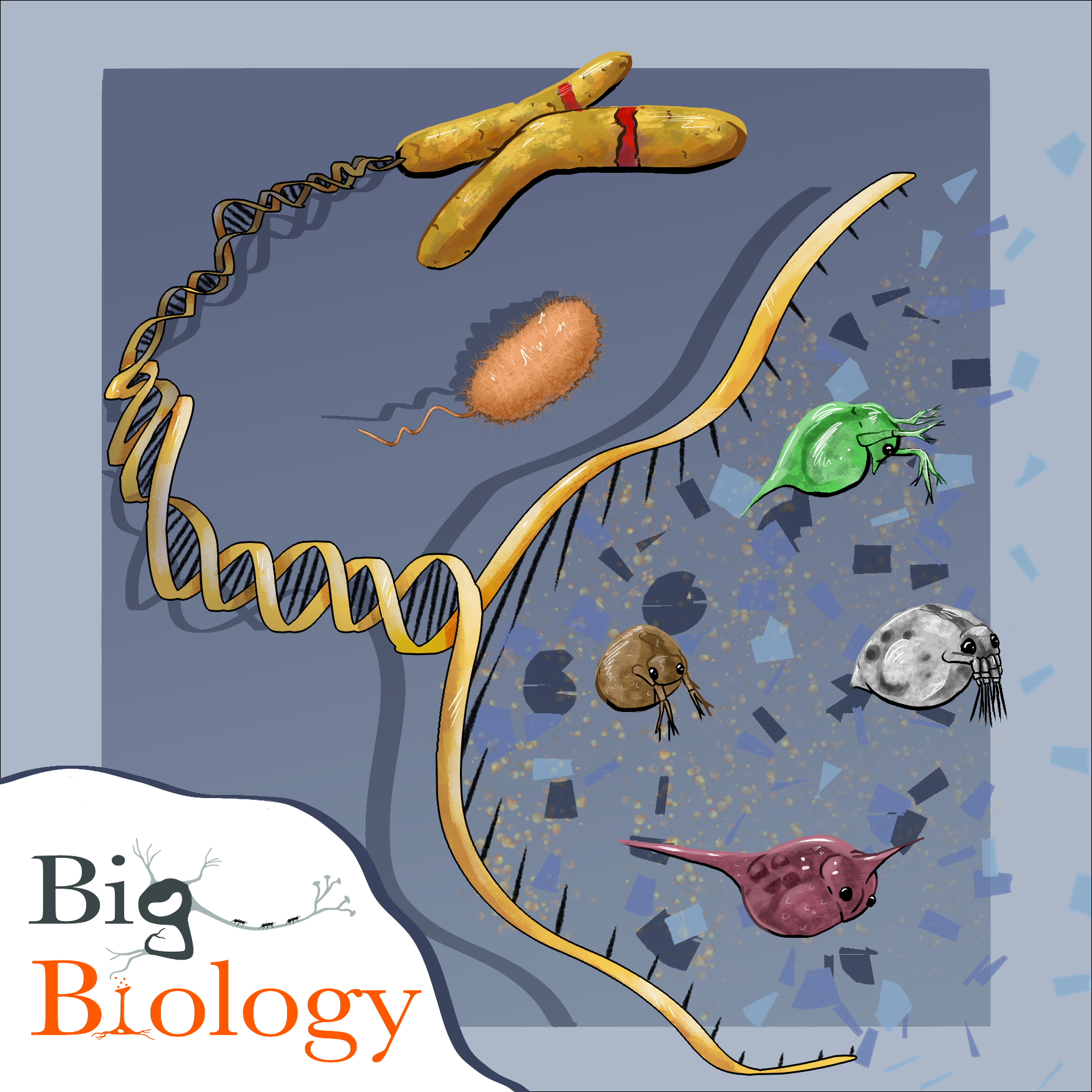 Ep 139: Evolution across scales (with Mike Lynch)