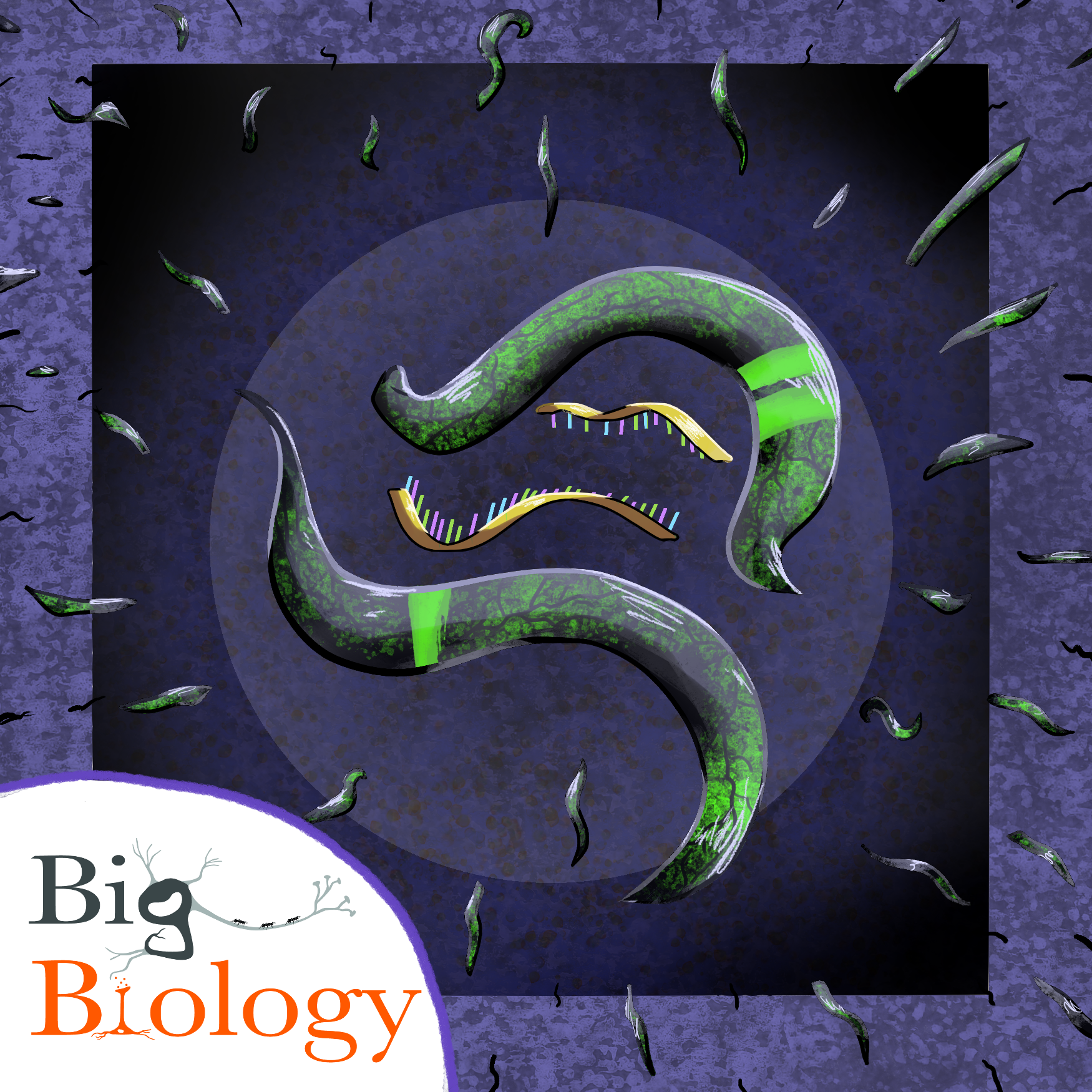 Ep 140: Biology outside the box (with Oded Rechavi)
