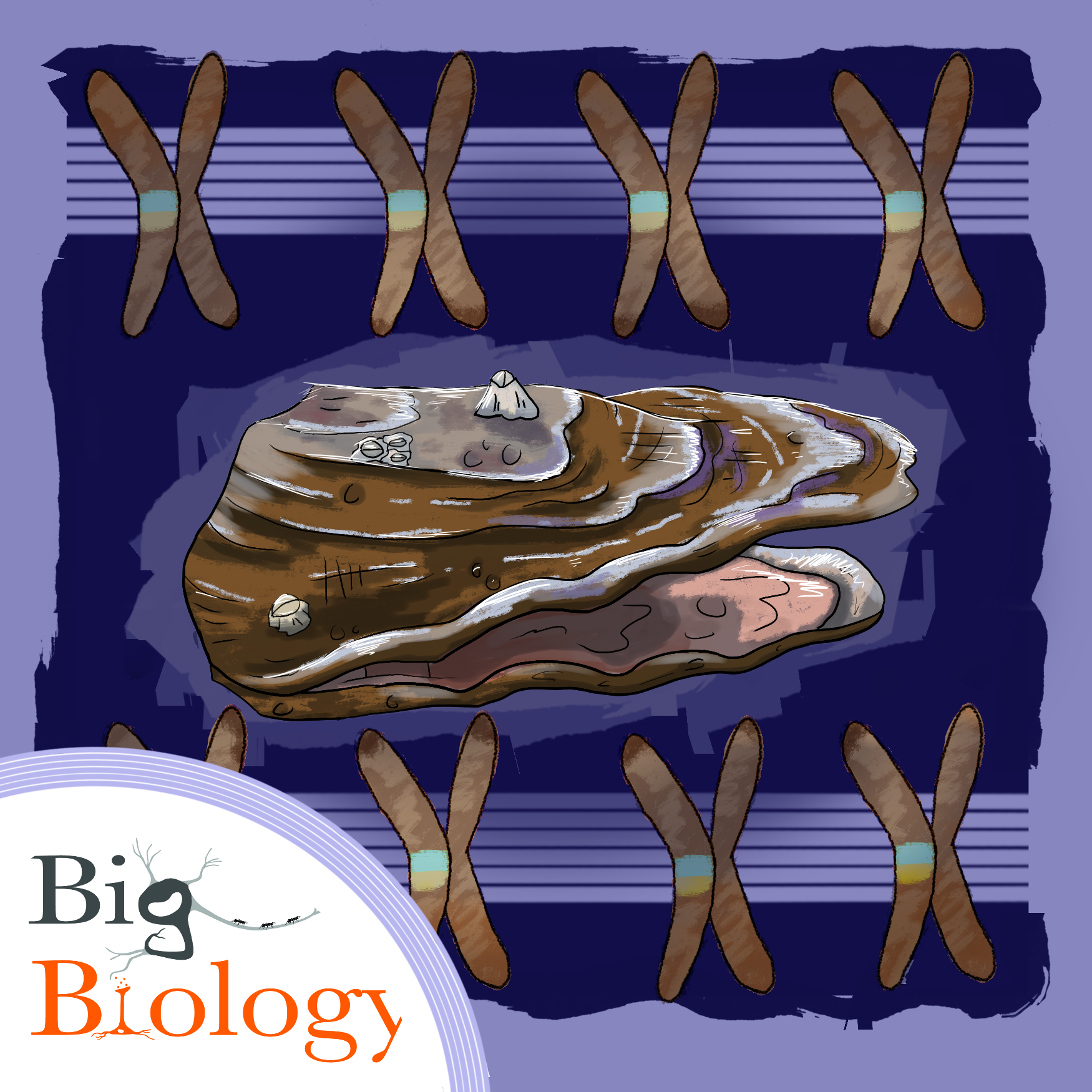 Ep 141: Vulnerability in science and in genomes (with Katie Letterhos)