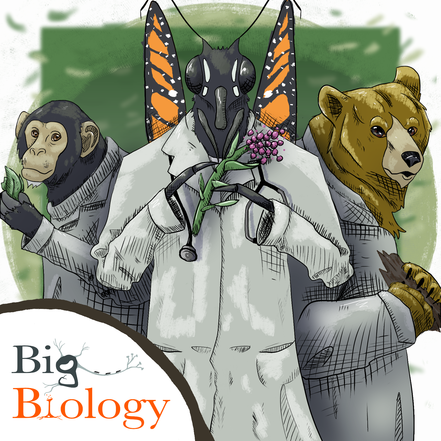 Ep 142: Doctors by Nature (with Jaap de Roode)