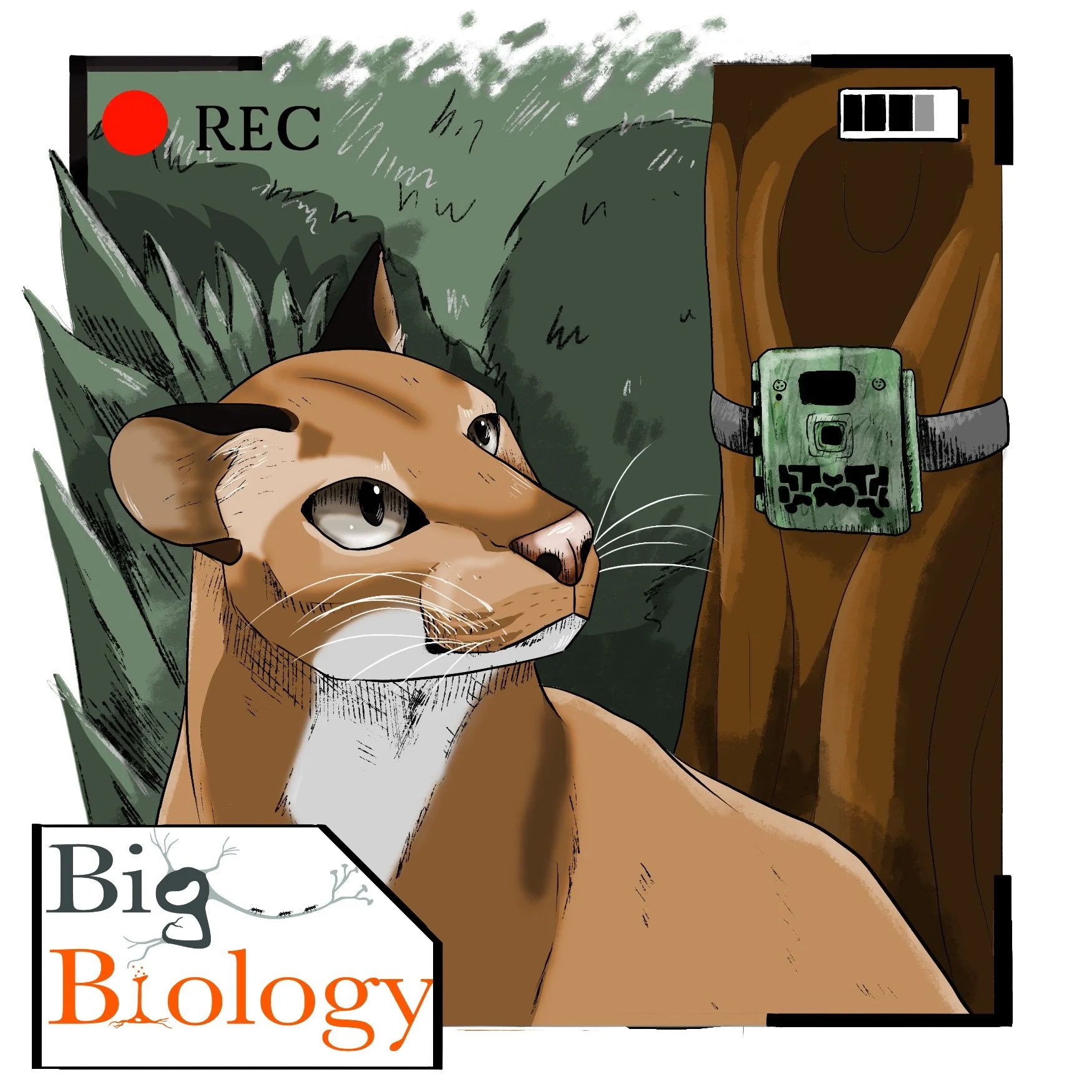 Ep 144: Heart of Gold (with Mwezi Mugerwa)