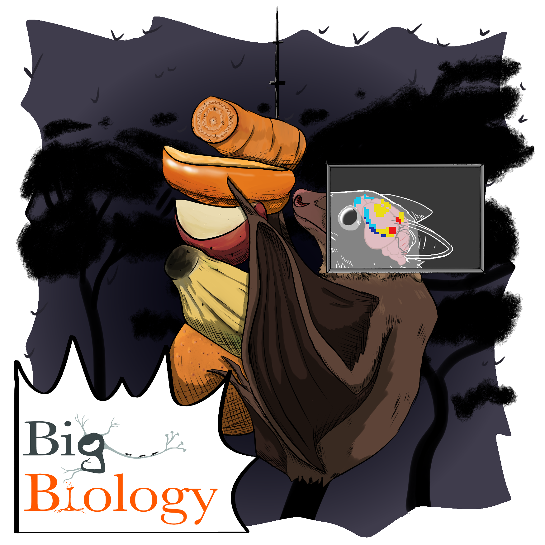 Ep 146: Neuroscience, naturally (with Nachum Ulanovsky)