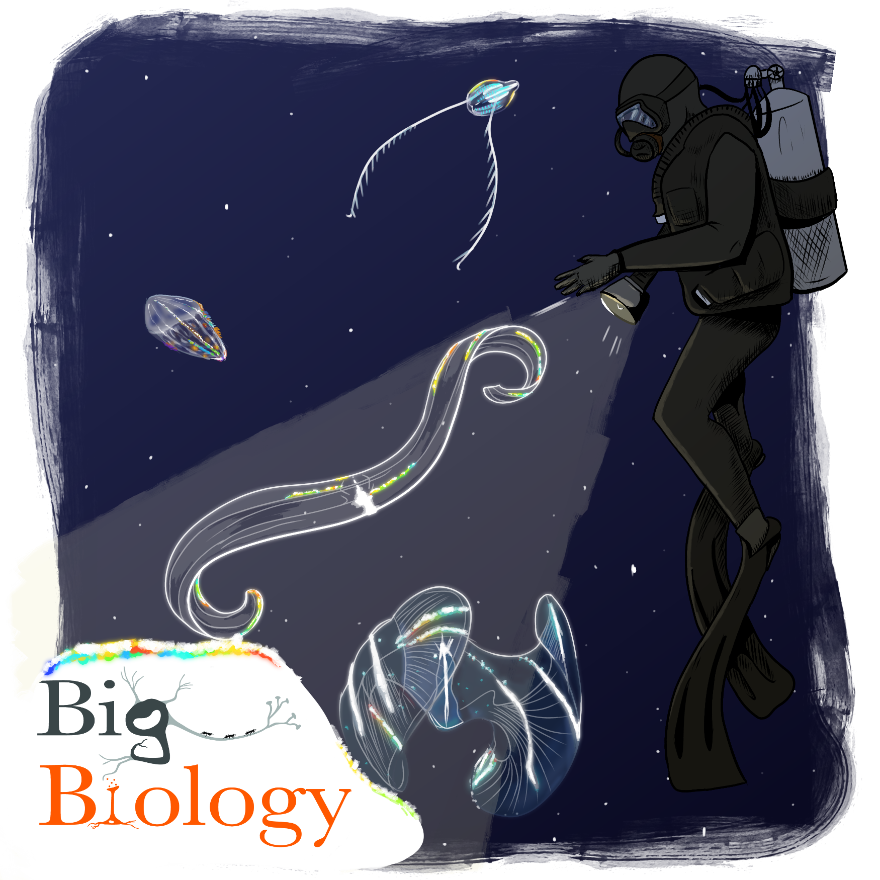 Ep 148: The Voracious Ctenophore and the Silent Sea (with Brad Gemmell)