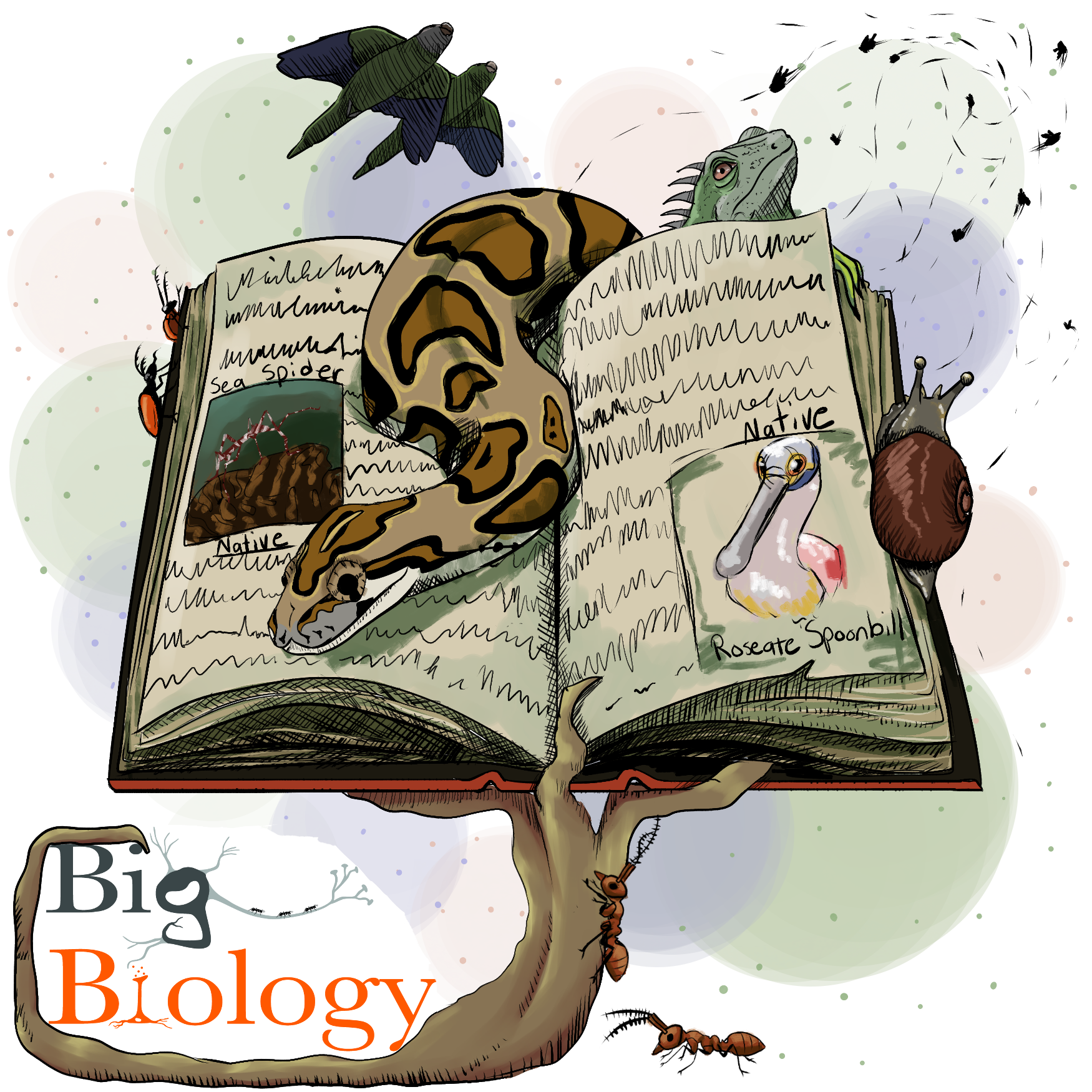 Ep 149: Invasion of the ecosystem snatchers (with Dan Simberloff)