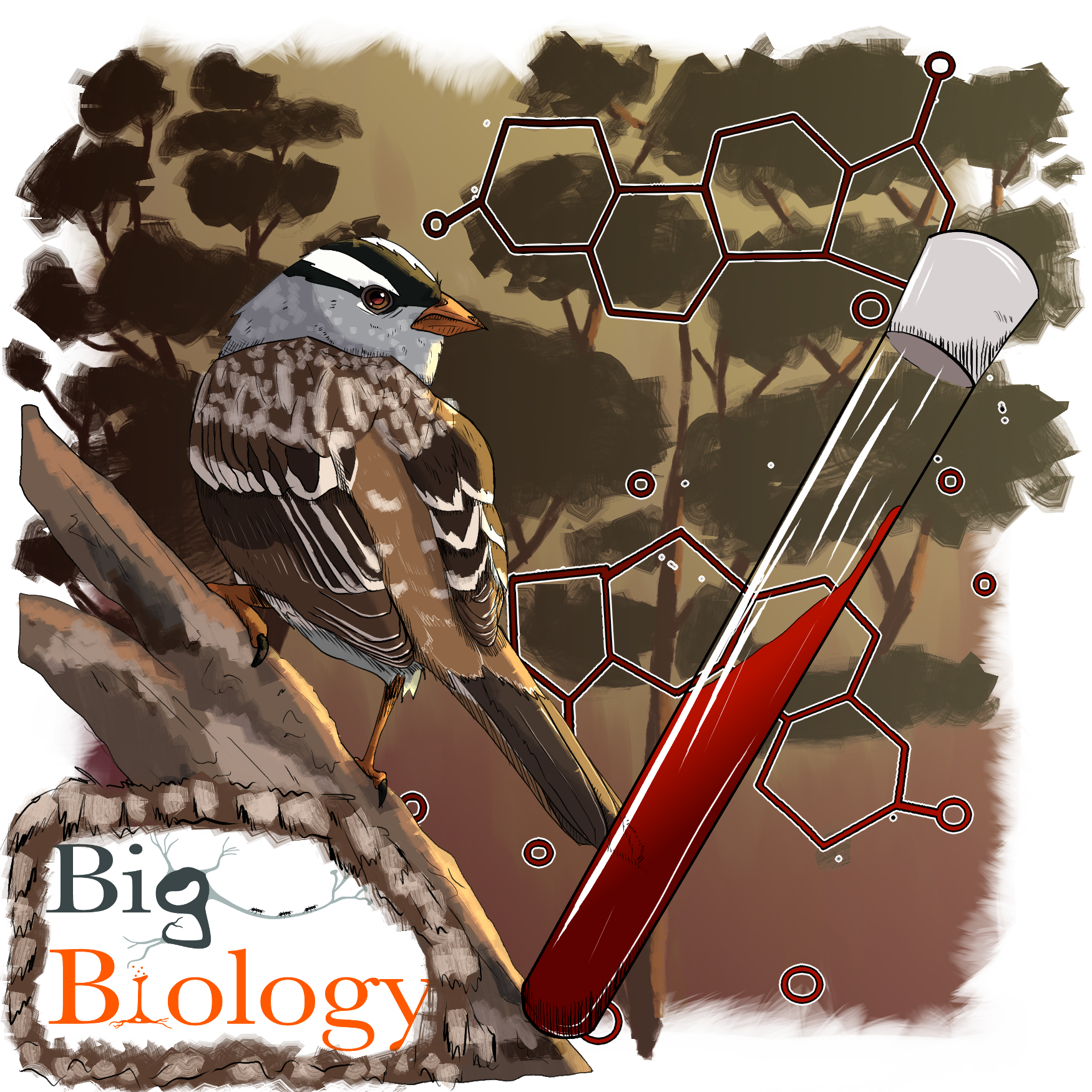 Ep 150: Hormones gone wild (with John Wingfield)