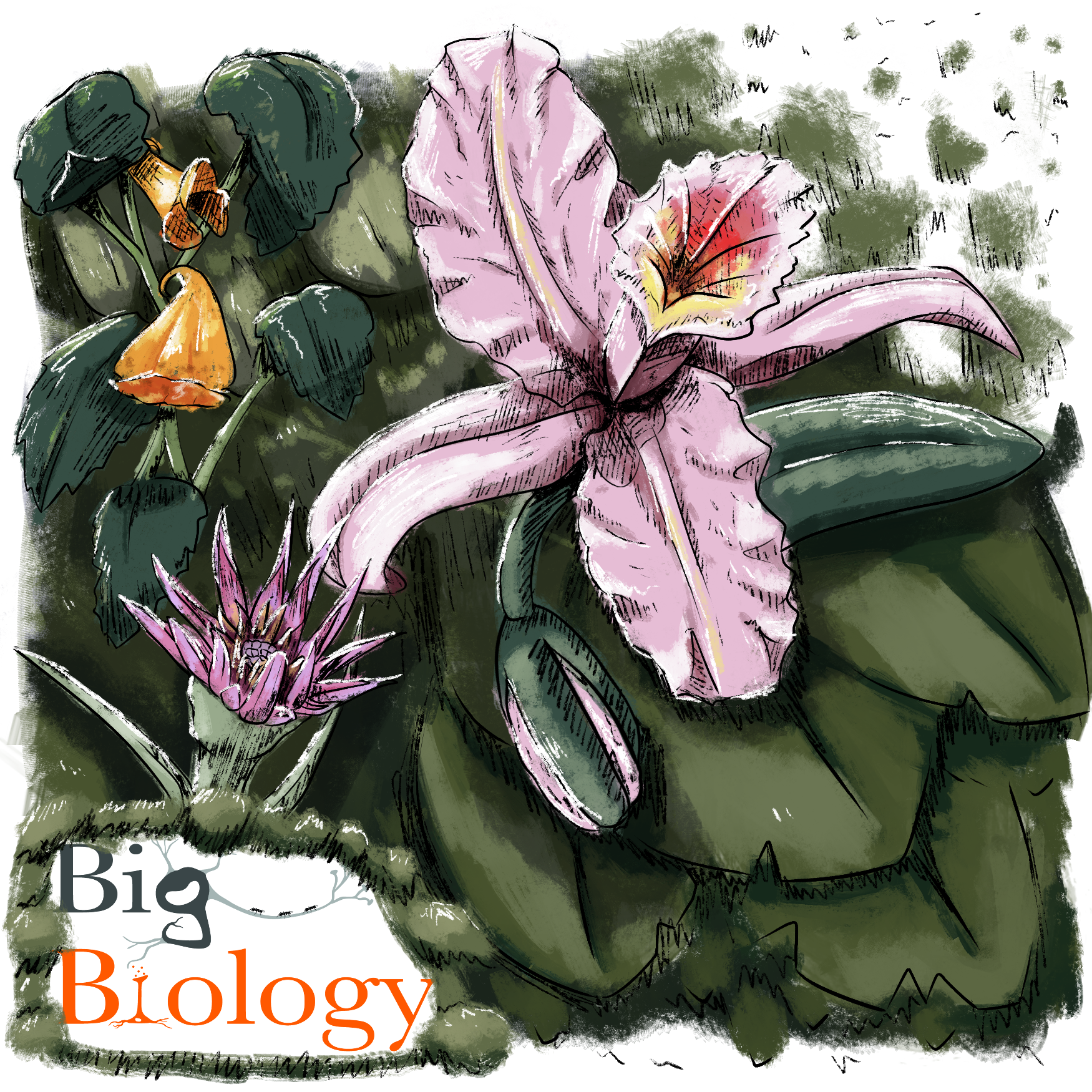 Ep 153: Flower Power (with David George Haskell)