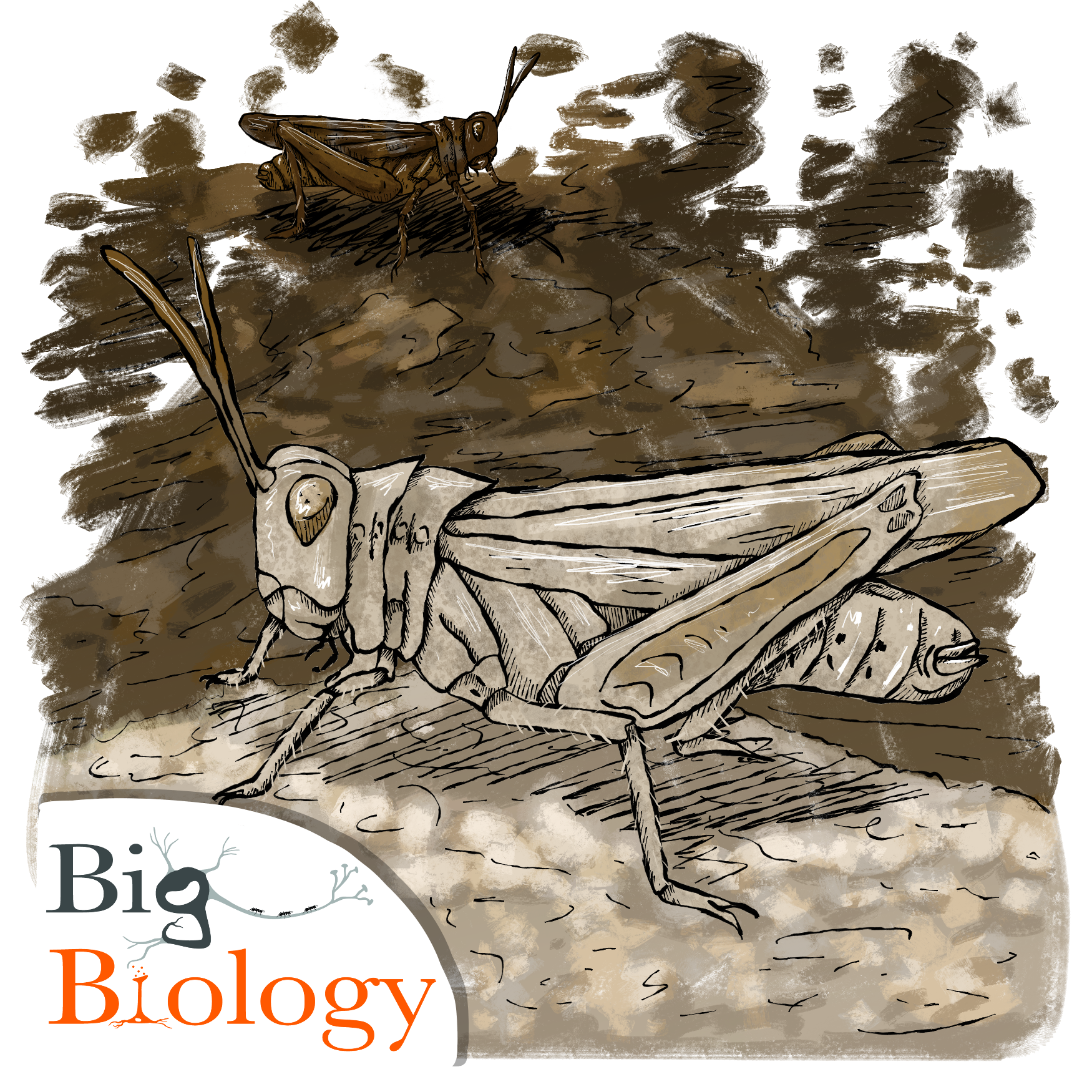 Ep 155: The Selecting Organism (with Pim Edelaar)