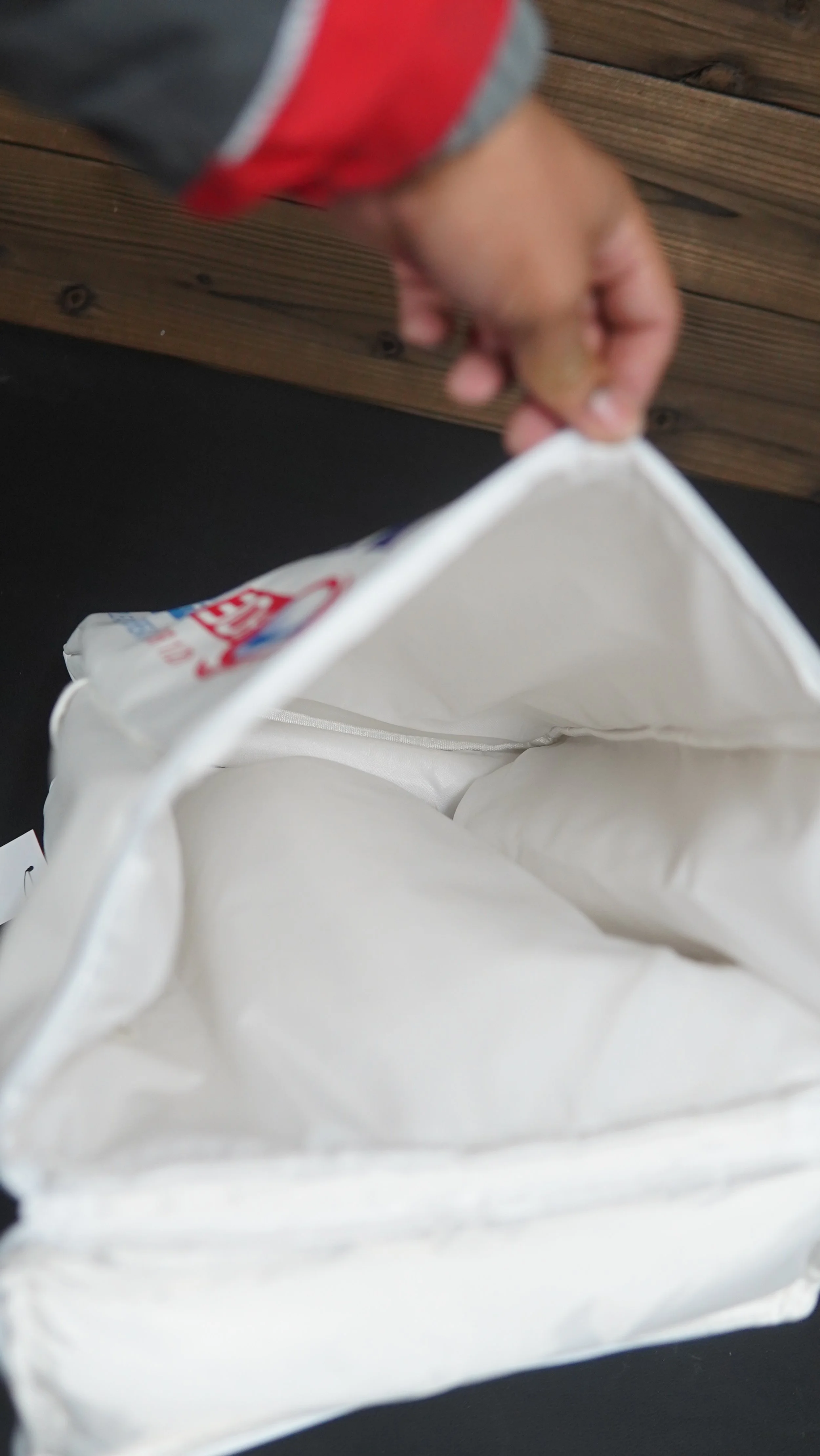 Frisk Backpack 4.JPG