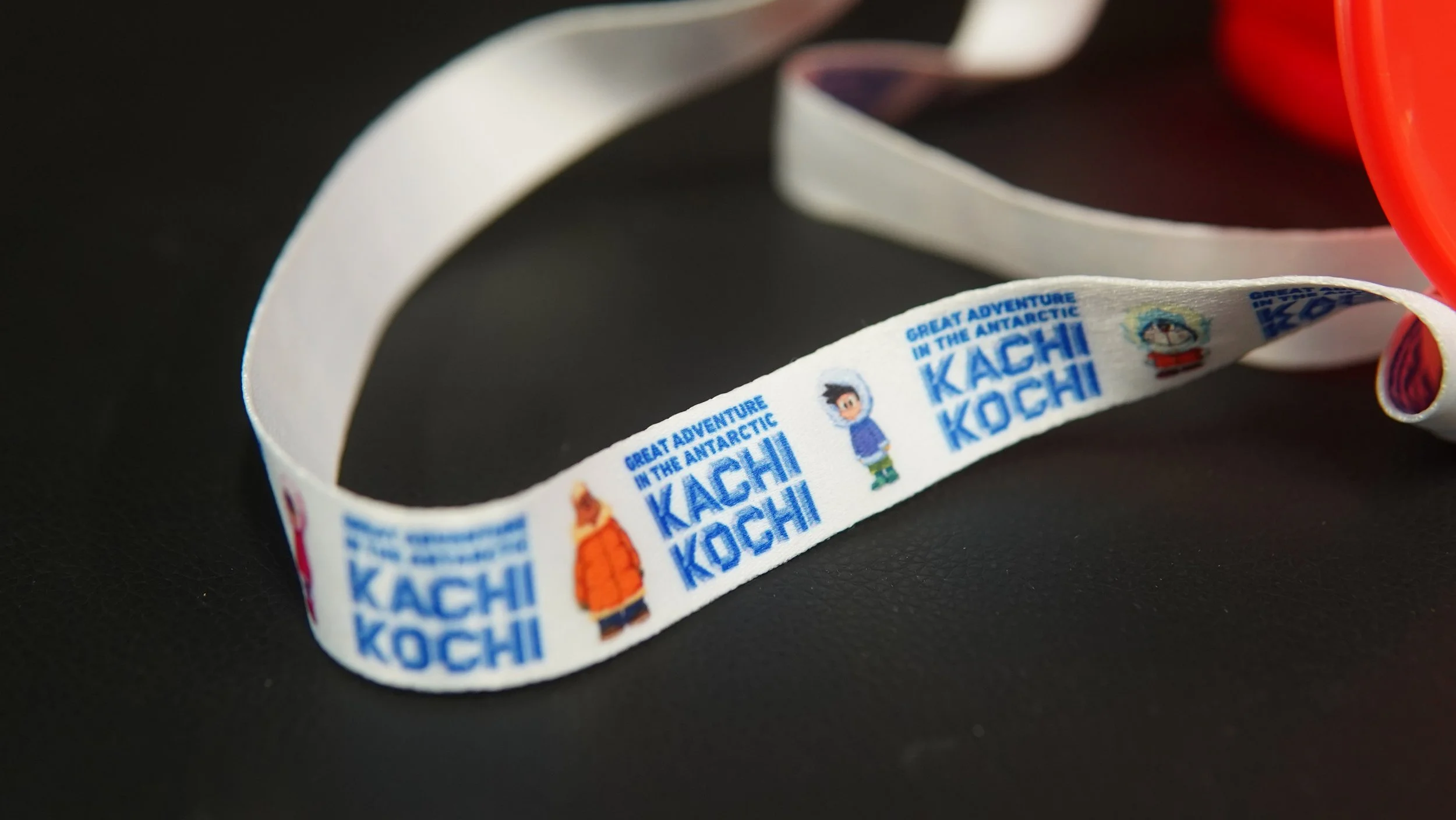 Doramon Carry Case 6.JPG