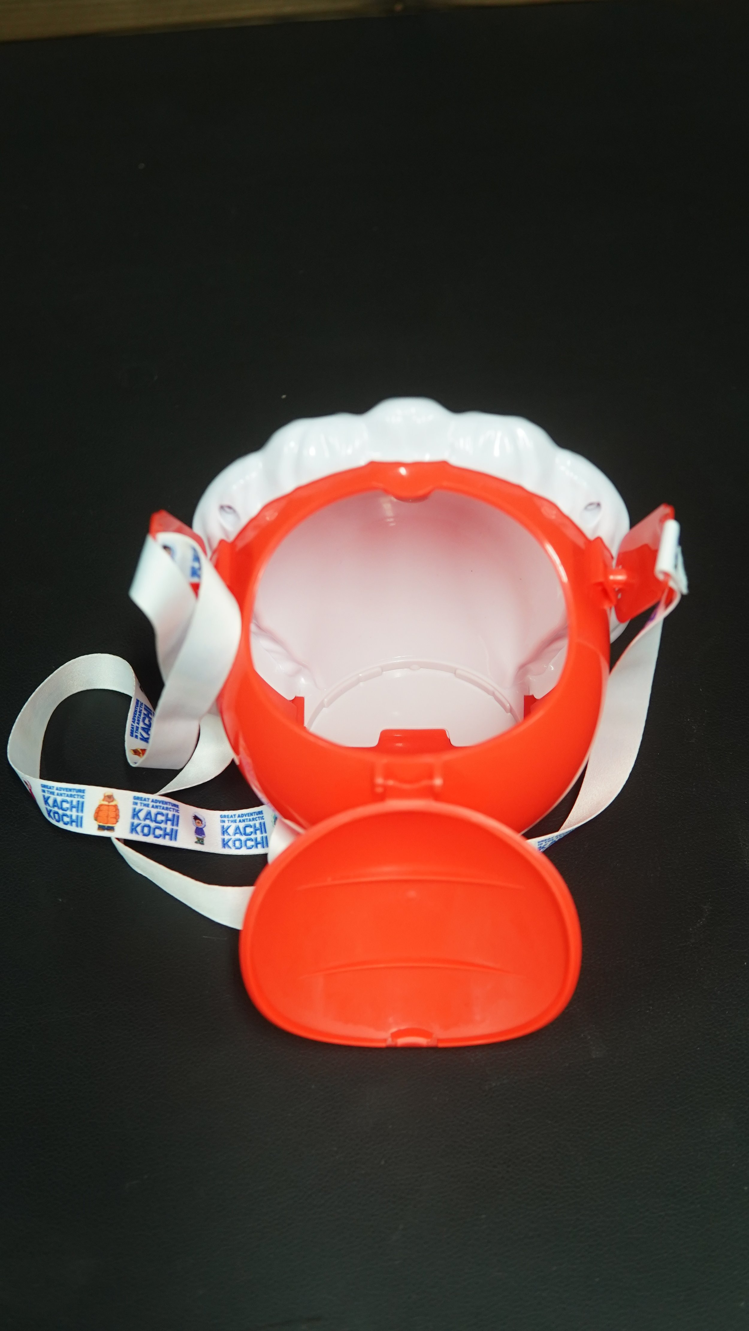 Doramon Carry Case 5.JPG