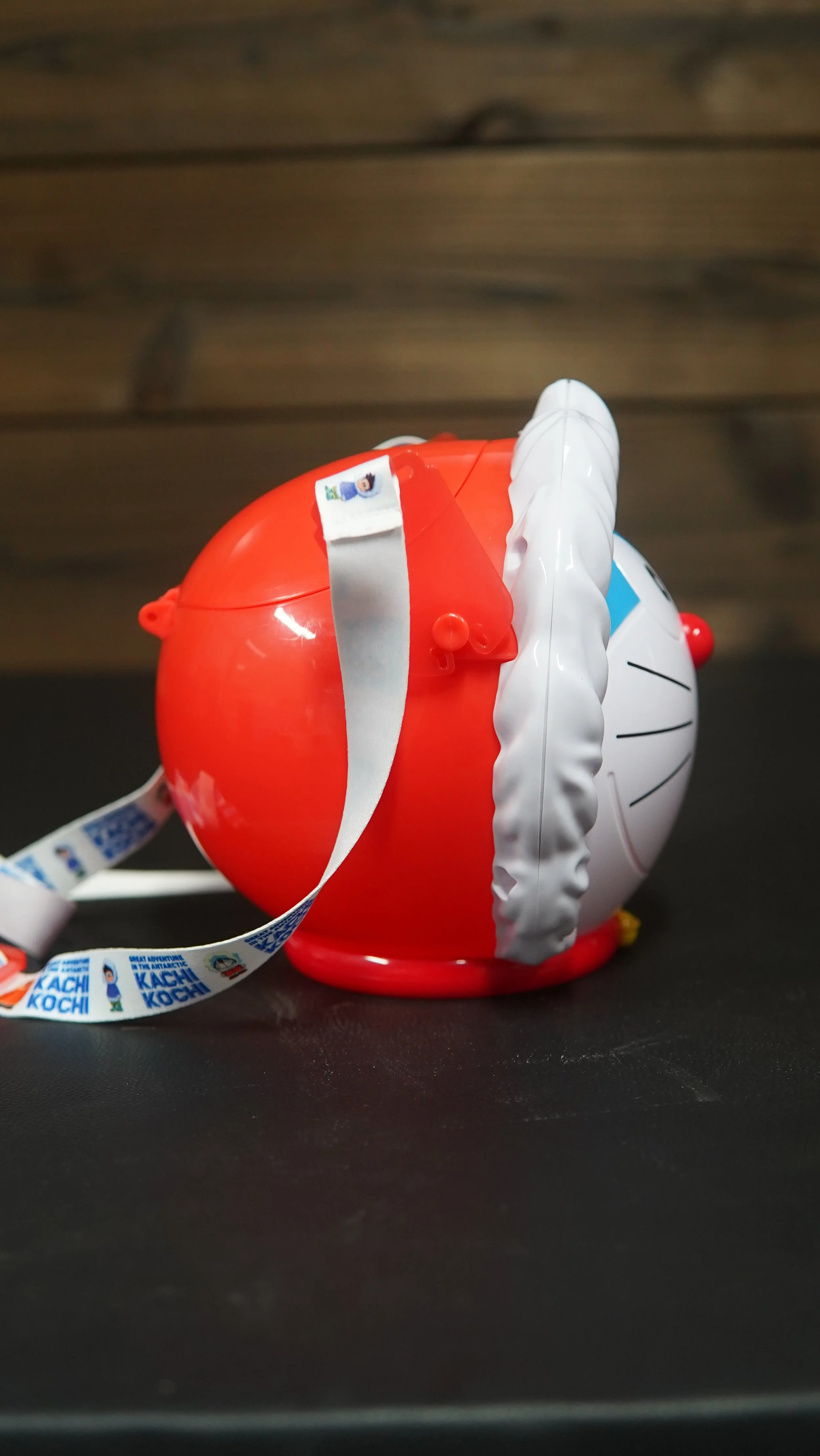 Doramon Carry Case 4.JPG