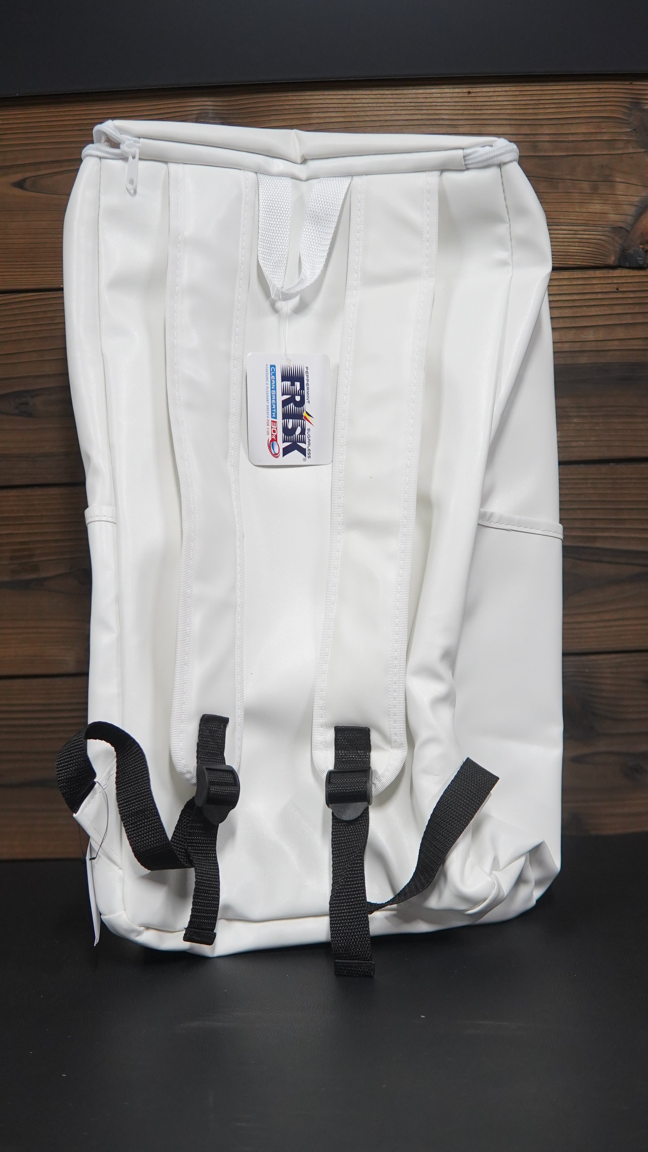 Frisk Backpack 3.JPG