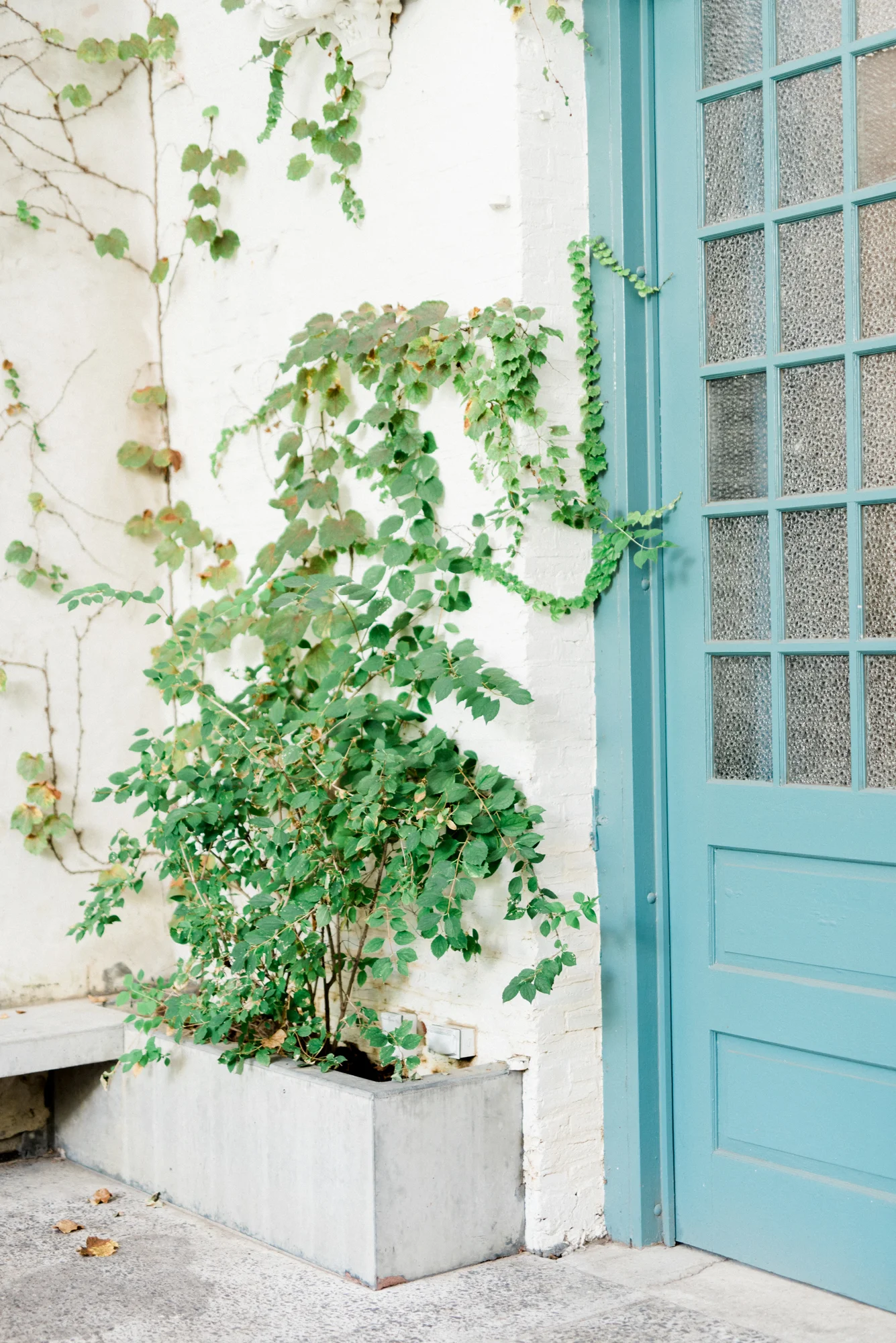 haley-richter-photography-maas-building-summer-wedding-philadelphia-DIY-birchtree-110.jpg