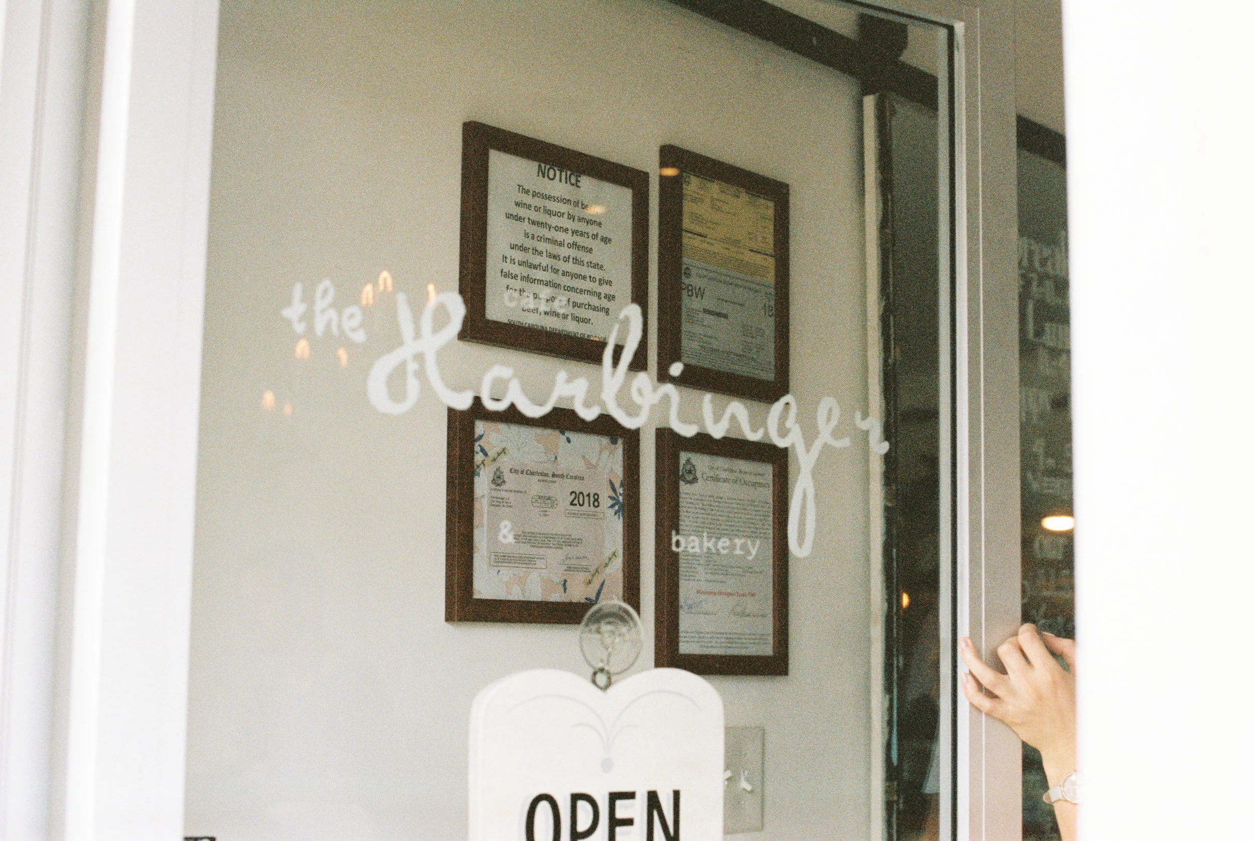 haley-richter-photography-fuji400h-south-carolina-35mm-spring-003.jpg