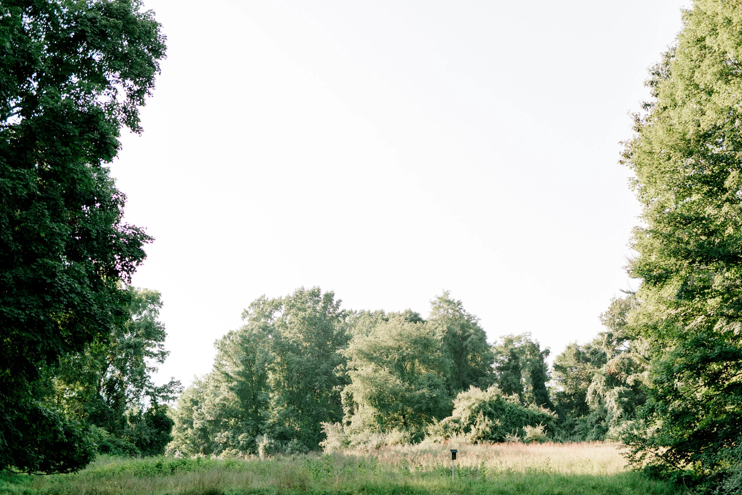 Across the way from Liz and Bill’s romantic sunset woodland engagement session at Parque at Ridley Creek there is a beautiful field with tall grass that makes for the ultimate in romantic moments.