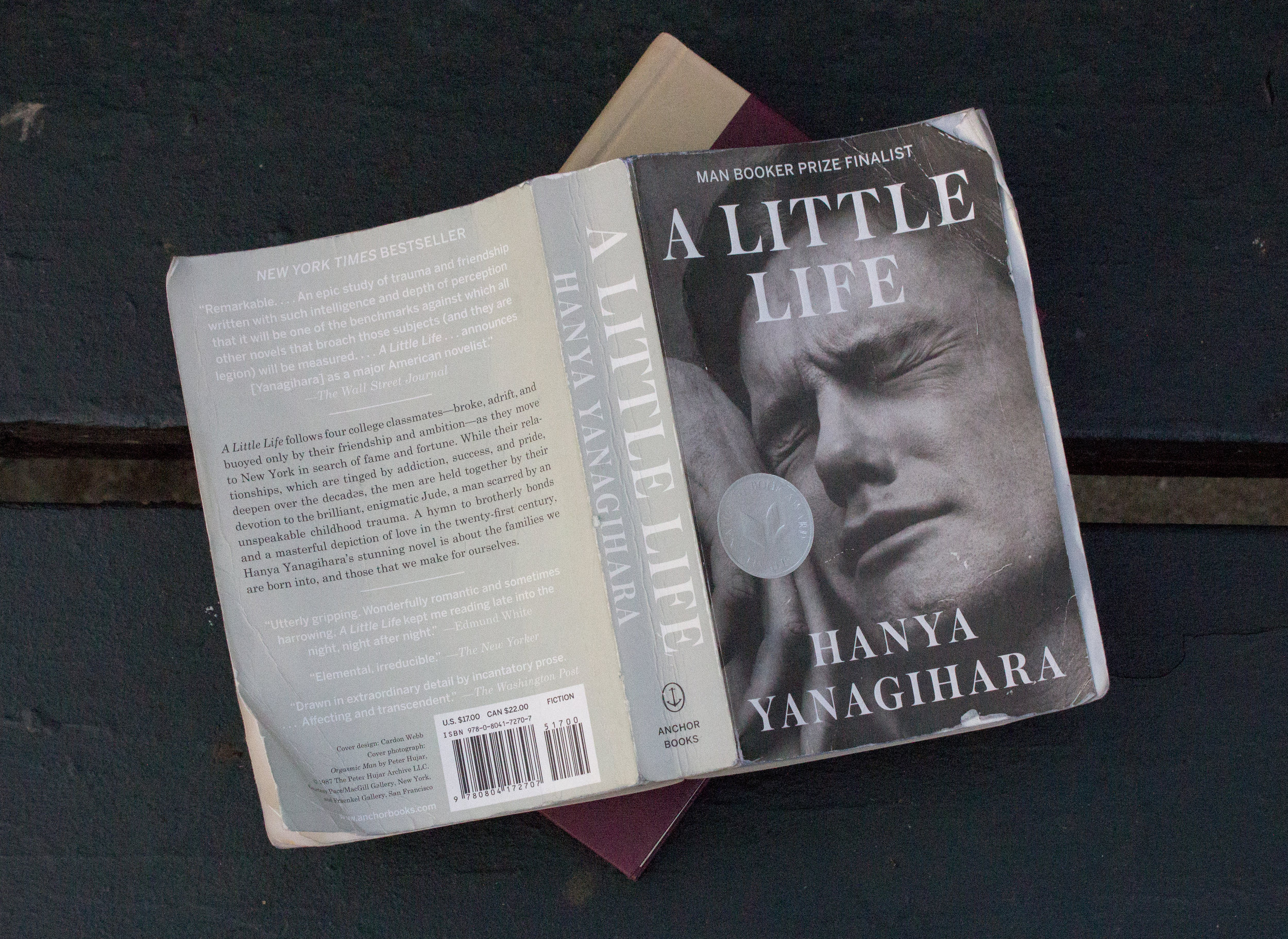 Little life book. A little Life книга. A little Life hanya Yanagihara. Янагихара книги. Обложка книги a little Life.