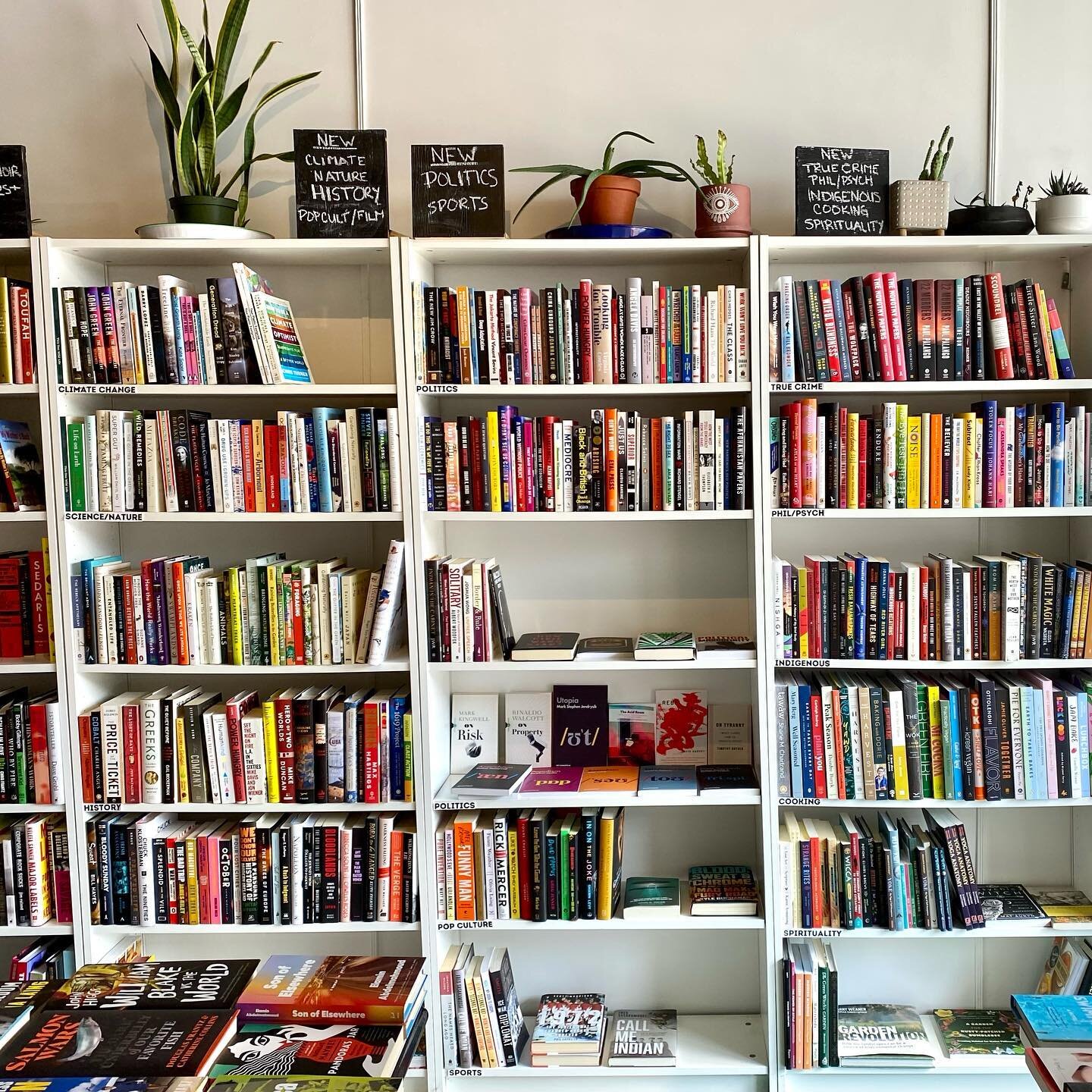 Our one week trip to Hamilton turned into a two-week trip to Hamilton which basically makes me a local which means I need a go-to bookshop right? The City and the City Books makes for a strong contender.