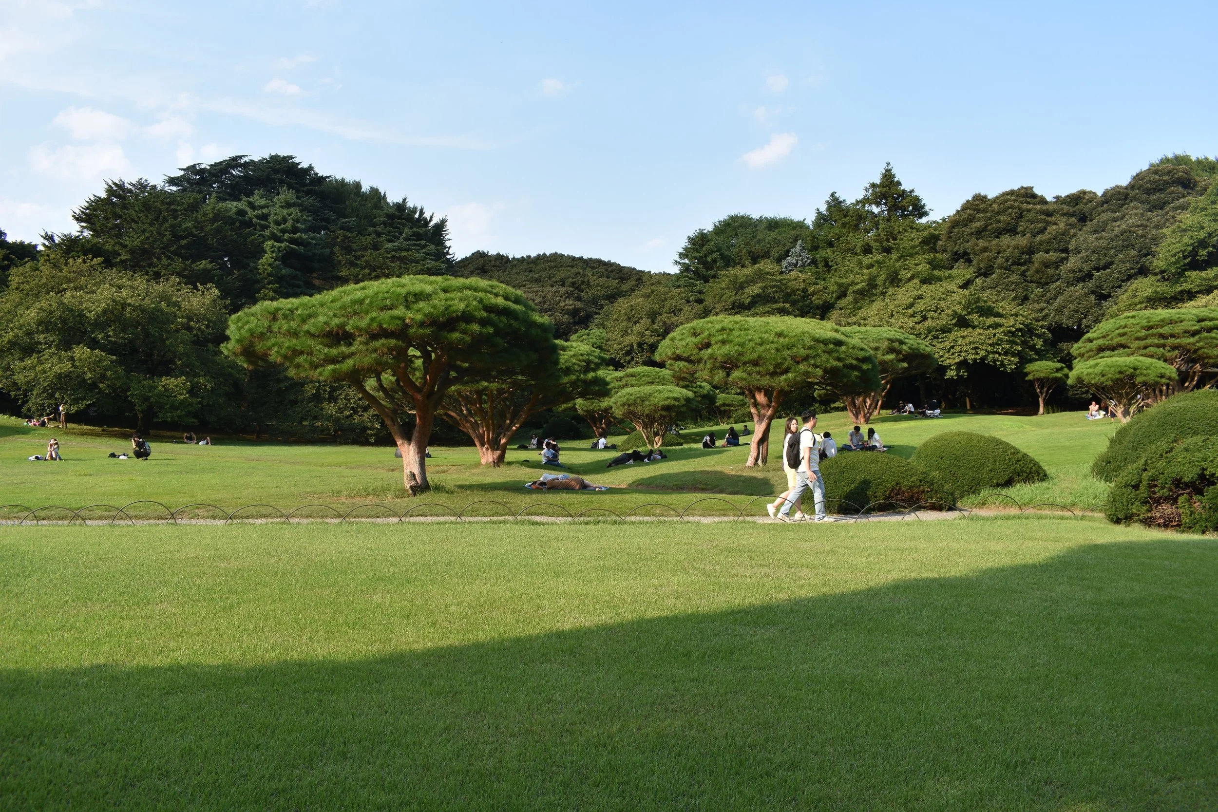 DSC_1059.jpg